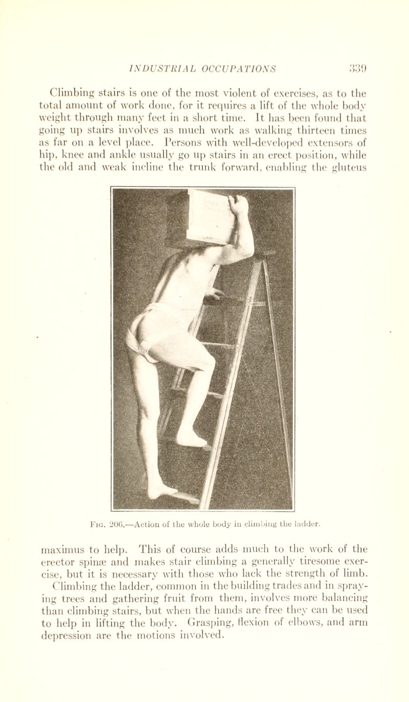 Climbing stairs is one of the most violent of exercises, as to the total amount of work done, for it requires a lift of the whole body weight through many feet in a short time. It has been found that going up stairs involves as much work as walking thirteen times as far on a level place. Persons with well-developed extensors of hip, knee and ankle usually go up stairs in an erect position, while the old and weak incline the trunk forward, enabling the gluteus Fig. 20G.—Action of the whole body in climbing the ladder. maximus to help. This of course adds much to the work of the erector spime and makes stair climbing a generally tiresome exer¬ cise, but it is necessary with those who lack the strength of limb. Climbing the ladder, common in the building trades and in spray¬ ing trees and gathering fruit from them, involves more balancing than climbing stairs, but when the hands are free they can be used to help in lifting the body. Grasping, flexion of elbows, and arm depression are the motions involved.