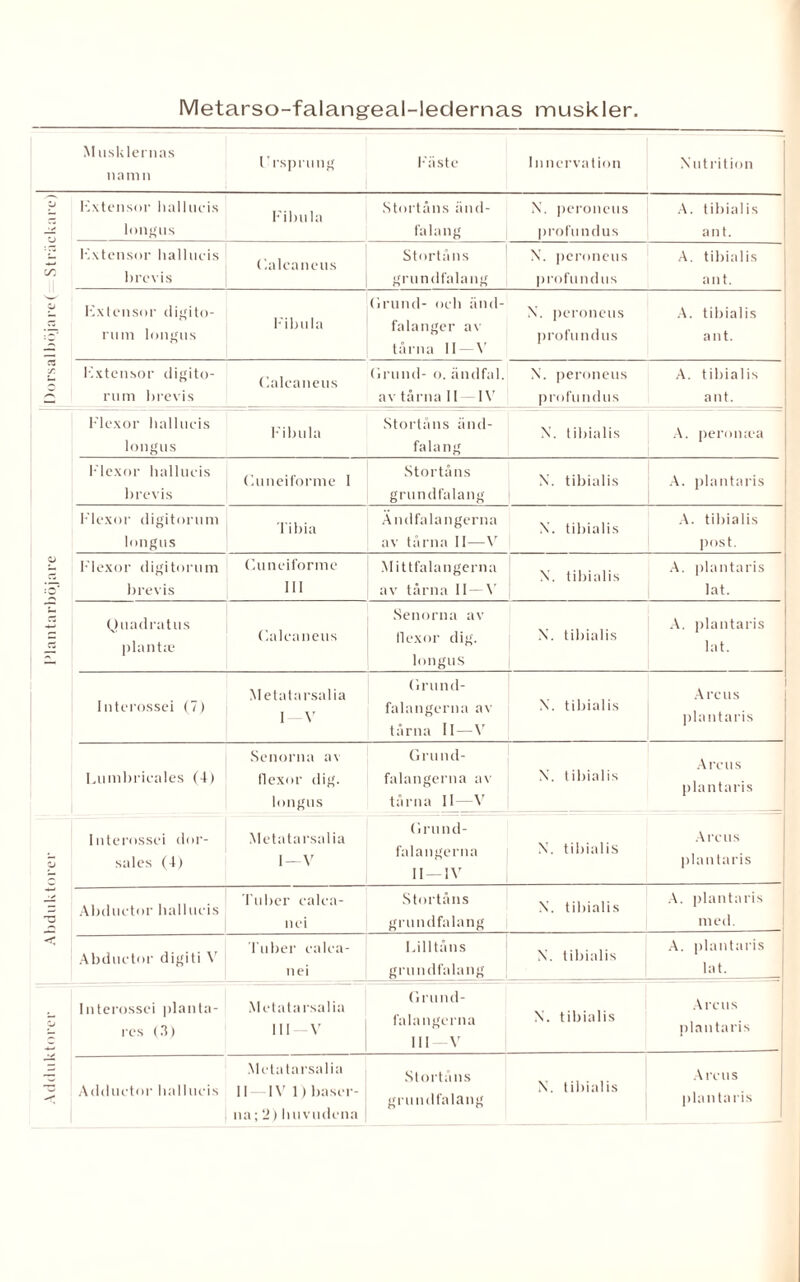 Metarso-falangeal-ledernas muskler. Musklernas namn Ursprung Fäste Inncrvation Xutrition o c/: o Iz X. Kxtensor hallucis longus Fibula Stortåns änd- fala ng N. peroneus profu n dus A. tibialis an t. Kxtensor hallucis brevis C.alcaneus Stortåns grundfalang N. peroneus profundus A. tibialis ant. Kxtensor digito- rum longus Fibula Grund- och änd- falanger av tårna 11 — X. peroneus profundus A. tibialis ant. Kxtensor digito- rum brevis Kalcaneus Grund- o. ändfal. av tårna II IV X. peroneus profundus A. tibialis ant. o C3 Flexor hallucis longus Fibula Stortåns änd- falang X. tibialis A. peromea Klexor hallucis brevis Kuneiforme 1 Stortåns grundfalang X. tibialis A. plantaris Klexor digitorum longus Tibia Andfalangerna av tårna II—V X. tibialis A. tibialis post. Flexor digitorum brevis Ku neiforme 111 Mittfalangerna av tårna II V X. tibialis A. plantaris lat. Quadratus plantie Kalcaneus Senorna av llexor dig. longus X. tibialis A. plantaris lat. Interossei (7) Metatarsalia I \r Grund¬ falangerna av tårna II — V X. tibialis Arens plantaris Lumbrieales (4) Senorna av tlexor dig. longus Grund¬ falangerna av tårna II—V X. tibialis Are us plantaris ZJ < Interossei dor- sales (4) Metatarsalia I — V Grund¬ falangerna II — IV X'. tibialis Arens plan taris Abductor hallucis Tuber calea- nci Stortåns grundfalang X'. tibialis A. plantaris med. Abductor digiti V Tuber calca- nei Lilltåns grundfala ng X. tibialis A. plantaris lat. _ o Interossei planta- res (3) Metatarsalia 111 —V Grund¬ falangerna III V X. tibialis Arens plantaris Adductor hallucis Metata rsalia II —IV 1) baser¬ na ;2)huvudena Stortåns grundfalang X. tibialis Arens plantans