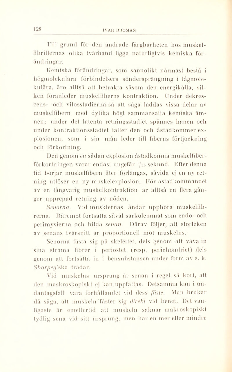 Till grund för den ändrade färgharheten hos inuskel- fibrillernas olika tvärband ligga naturligtvis kemiska för¬ ändringar. Kemiska förändringar, som sannolikt närmast bestå i högmolekulära förbindelsers söndersprängning i lågmole- kulära, åro alltså alt betrakta såsom den energikälla, vil¬ ken föranleder muskel fiberns kontraktion. Under dekres- cens- och vilosstadierna så att säga laddas vissa delar av muskelfibern med dylika högt sammansatta kemiska äm¬ nen; under det latenta retningssladiet spännes hanen och under kontraktionsstadiel faller den och åstadkommer ex¬ plosionen, som i sin mån leder till fiberns förtjockning och förkortning. Den genom en sådan explosion åstadkomna muskelfiher- förkortningen varar endast ungefär ’/1 o sekund. Efter denna tid börjar muskelfibern åter förlängas, såvida ej en ny ret¬ ning utlöser en ny muskelexplosion. För åstadkommandet av en långvarig muskelkontraktion är alltså en flera gån¬ ger upprepad retning av nöden. Senorna. Vid musklernas ändar upphöra muskelfib¬ rerna. Däremot fortsätta såväl sarkolemmat som endo- och perimysierna och bilda senan. Därav följer, alt storleken av senans tvärsnitt är proportionell mot muskelns. Senorna fasta sig på skelettet, dels genom att väva in sina strama fibrer i perioslet (resp. perichondriet) dels genom all fortsätta in i bensubstansen under form av s. k. Sharpeifsko trådar. Vid muskelns ursprung är senan i regel sa kort, alt den maskroskopiskl ej kan uppfattas. Detsamma kan i un¬ dantagsfall vara förhållandet vid dess fäste. Man brukar då säga, all muskeln fäster sig direkt vid benet. Det van¬ ligaste är emellertid att muskeln saknar makroskopiskl tydlig sena vid sill ursprung, men har en mer eller mindre