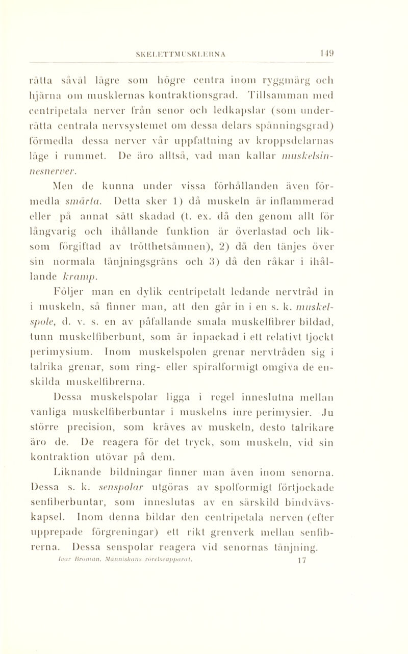 rätta såväl lägre som högre centra inom ryggmärg och hjärna om musklernas konlraklionsgrad. Tillsamman med cenlripelala nerver från senor och ledkapslar (som under¬ rätta centrala nervsystemet om dessa delars spänningsgrad) förmedla dessa nerver vår uppfattning av kroppsdelarnas läge i rummet. l)e äro alltså, vad man kallar muskelsin- nesneroer. Men de kunna under vissa förhållanden även för¬ medla smärla. Detta sker 1 ) då muskeln är inflammerad eller pä annat sätt skadad (t. ex. då den genom allt för långvarig och ihållande funktion är överlastad och lik¬ som förgiftad av trötthelsämnen), 2) då den tänjes över sin normala tänjningsgräns och 3) då den råkar i ihål¬ lande kramp. Följer man en dylik cenlripetalt ledande nervtråd in i muskeln, så finner man, att den går in i en s. k. muskel- spole, d. v. s. en av påfallande smala muskelfibrer bildad, tunn muskelliberbunt, som är inpackad i ett relativt tjockt perimysium. Inom muskelspolen grenar nervtråden sig i talrika grenar, som ring- eller spiralformigt omgiva de en¬ skilda muskel fibrerna. Dessa muskelspolar ligga i regel inneslutna mellan vanliga muskelfiberhunlar i muskelns inre perimysier. Ju större precision, som kräves av muskeln, desto talrikare äro de. De reagera för det tryck, som muskeln, vid sin kontraklion utövar på dem. Liknande bildningar finner man även inom senorna. Dessa s. k. senspolar utgöras av spolformigt förtjockade senfiberbuntar, som inneslutas av en särskild bindvävs- kapsel. Inom denna bildar den eentripetala nerven (efter upprepade förgreningar) ett rikt grenverk mellan senlib- rerna. Dessa senspolar reagera vid senornas tänjning. Ivar liroman, Människans rörelseapparat. ]7