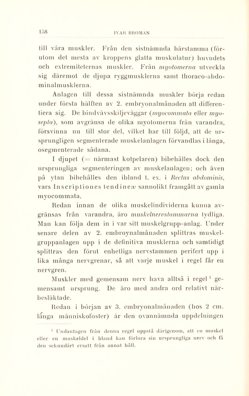 IV AI i Ii ROM AN till vara muskler. Från den sistnämnda härstamma (för¬ utom det mesta av kroppens glatta muskulatur) huvudets och extremiteternas muskler. Från nu/otomerna utveckla sig däremot de djupa ryggmusklerna samt thoraco-abdo- minalmusklerna. Anlagen till dessa sistnämnda muskler börja redan under första hälften av 2. embryonalmånaden alt dilTeren- tiera sig. De bindvävsskiljeväggar (myoconimaia eller mijo- sepla), som avgränsa de olika myotomerna från varandra, försvinna nu till stor del, vilket har till följd, att de ur¬ sprungligen segmenterade muskelanlagen förvandlas i långa, osegmenterade sådana. 1 djupet (= närmast kotpelaren) bibehålies dock den ursprungliga segmenteringen av muskelanlagen; och även på ytan bibehålies den ibland t. ex. i Rectus cibdominis, vars Inscriptiones tendineae sannolikt framgått av gamla myocomm ata. Redan innan de olika muskelindividerna kunna av¬ gränsas från varandra, äro muskelnervstaininarna tydliga. Man kan följa dem in i var sitt muskelgrupp-anlag. Under senare delen av 2. embroynalmånaden splittras muskel- gruppanlagen upp i de definitiva musklerna och samtidigt splittras den förut enhetliga nervstammen perifert upp i lika många nervgrenar, så att varje muskel i regel får en nervgren. Muskler med gemensam nerv hava alltså i regel 1 ge¬ mensamt ursprung. De äro med andra ord relativt när¬ besläktade. Redan i början av 3. embryonalmånaden (hos 2 cm. langa människofoster) är den ovannämnda uppdelningen 1 Undantagen från denna regel uppstå därigenom, att en muskel eller en muskeldel i bland kan förlora sin ursprungliga nerv och få den sekundärt ersatt från annat håll.