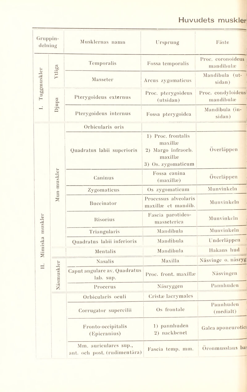 Mimiska muskler •• Tuggmuskler Huvudets muskler Gruppin¬ delning Musklernas namn Ursprung Fäste sc Tem poralis Fossa temporalis Proc. coronoideus mandibula; Ytl Masseter Arcus zygomaticus Mandibula (ut¬ sidan ) C3 Pterygoideus externus Proc. pterygoideus (utsidan) Proc. condyloideus mandibula; Pterygoideus internus Fossa pterygoidea Mandibula (in¬ sidan) Orbicularis oris max il la; Quadratus labii superioris 2) Margo infraorb. maxilke 3) Os. zvgomaticum Överläppen O •A Caninus F’ossa canina (maxilke) Överläppen Zygomaticus Os zvgomaticum Mun vinkeln Buccinator Processus alveolaris maxilke et mandib. Munvinkeln Hisorius Fascia parotideo- masseterica Mun vin keln — Triangularis Mandibula Munvinkeln Quadratus labii inferioris Mandibula Underläppen Mentalis Mandibula Hakans hud O Nasalis Maxilla Näsvinge o. näs ryg Caput angulare av. Quadratus lab. sup. Proc. front, maxilhc Näsvingen Procerus Näsryggen Pannliuden Orbicularis oculi ('.rista* lacrvmales Corrugator supercilii Os frontale Pannliuden (medialt) Fronto-occipitalis (Epicranius) 1) pannliuden ‘2) nackbenet Galea aponeurotici Mm. auricularcs sup., ant. och post. (rudimentära) Fascia temp. mm. Öronmusslans bai