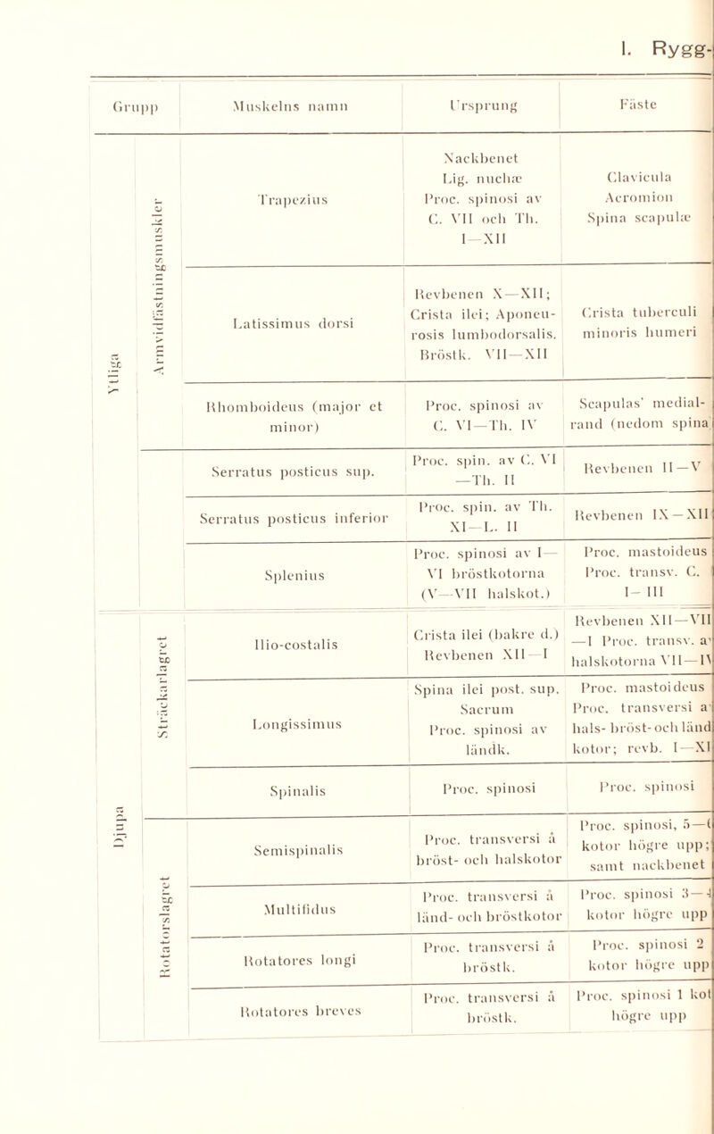 1. Rygg- Grupp Muskelns namn Ursprung Fäste O y. y. y. *4* Trapezius Nackbenet Lig. nucluc Proc. spinosi av C. VII och Th. 1 —XII Clavicula Acromion Spina scapuke Latissimus dorsi Revbenen X — XII; Crista ilei; Aponeu- rosis lumbodorsalis. Bröstk. V11 — XII Crista tuberculi minoris liumeri Hhomboideus (major et minor) Proc. spinosi av C. VI—Tb. IN’ Scapulas’ medial¬ rand (nedom spina Serratus posticus sup. Proc. spin. av C. VI —Th. 1! Revbenen II—V Serratus posticus inferior Proc. spin. av Th. XI —L. II Revbenen IX —XII Splenius Proc. spinosi av I — NT bröstkotorna (V- VII halskot.) Proc. mastoideus Proc. transv. C. I- III Djupa o th y: Ilio-costalis Crista ilei (bakre d.) Revbenen XII I Revbenen XII — VII — 1 Proc. transv. a1 halskotorna NT I — IN Longissim us Spina ilei post. sup. Sacrum Proc. spinosi av ländk. Proc. mastoideus Proc. transversi a hals- bröst-och länd kotor; revb. I—XI Spinalis Proc. spinosi Proc. spinosi th C3 C/3 C3 Semispinalis Proc. transversi å bröst- och halskotor Proc. spinosi, 5—t kotor högre upp; samt nackbenet Multifulus Proc. transversi å länd- och bröstkotor Proc. spinosi 3—-1 kotor högre upp Rotatores longi Proc. transversi å bröstk. Proc. spinosi 2 kotor högre upp Hotatores breves Proc. transversi å bröstk. Proc. spinosi 1 kot högre upp