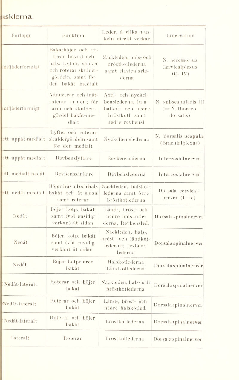 tsklema. Förlopp Funktion Leder, å vilka mus¬ keln direkt verkar 1 n nervation olfjäderformigt Hakåtböjer oeli ro¬ terar huvud och hals. Lyfter, sänker och roterar skulder- gördeln, samt för den bakåt, medialt Nackleden, hals- och bröstkotlederna samt clavicularle- derna N. aecessorius Cervicalplexus (C. IV) olfjäderformigt Adducerar och inåt- rotcrar armen; för arm och skulder- gördel bakåt-me- dialt Axel- och nvckel- benslederna, lum- balkotl. och nedre bröstkotl. samt nedre revbensl. N. subscapularis 111 ( N. thoraco- dorsalis) •tt uppåt-medialt Lyfter och roterar skuldergördeln samt för den medialt Nyckel ben slederna N. dorsalis scapuhe (Hracbialplexus) •tt uppåt medialt Hevbenslvftare Revbenslederna lntercos tal nerver ;tt medialt-nedåt Hevbenssänkare Revbcnslederna Intercostalnerver ■tt nedåt-medialt Höjer huvud och hals bakåt och åt sidan samt roterar Nackleden, halskot- lederna samt övre bröstkotlederna Dorsala cervical- nerver (I \T) Nedåt Höjer kotp. bakåt samt (vid ensidig verkan) åt sidan Länd-, bröst- och nedre halskotle- derna, Revbensled. Dorsala spin alnerver Nedåt Höjer kotp. bakåt samt (vid ensidig verkan) åt sidan Nackleden, bals-, bröst- och ländkot- lederna; revbens¬ lederna Dorsala spinalnerver Nedåt Höjer kotpelaren bakåt Halskotlederna Länd kotlederna Dorsalaspinalnerver Nedåt-lateralt Roterar och böjer bakåt Nackleden, hals- och bröstkotlederna Dorsala spinalnerver Nedåt-lateralt Roterar och böjer bakåt Länd-, bröst- ocb nedre halskotled. Dorsala spinalnerver Nedåt-lateralt Roterar och böjer bakåt Hröstkotlederna Dorsalaspinalnerver La t eral t Roterar Hröstkotlederna Dorsala spinalnerver