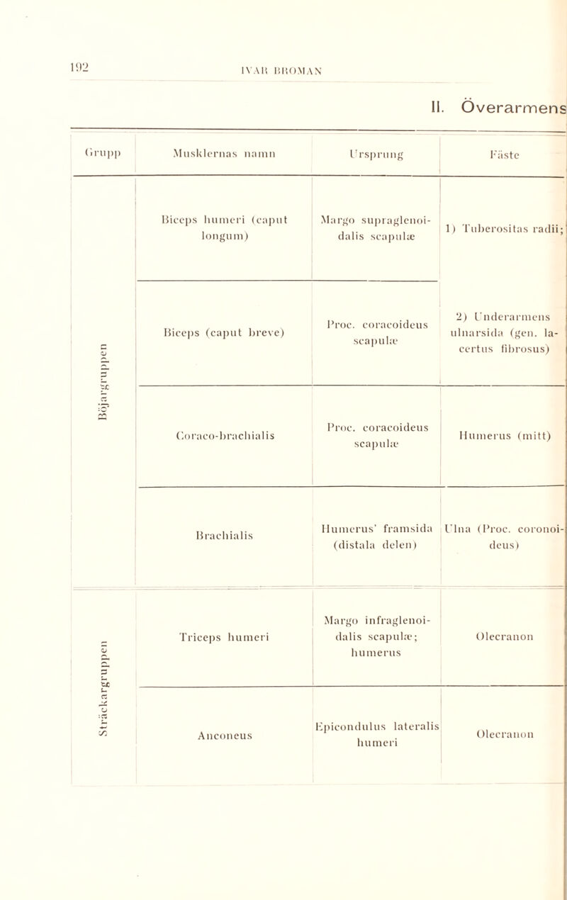 Sträckargruppen Böjargruppen 192 II. Överarmens Biccps humeri (caput Margo supraglenoi- Biceps (caput breve) Proc. coracoideus scapula* 2) Underarmens ulnarsida (gen. la- certus fibrosus) Coraco-brachialis Proc. coracoideus seapula* Humerus (mitt) Brachialis Humerus’ framsida (distala delen) Ulna (Proc. coronoi- deus) Triceps Margo infraglenoi- humeri dalis seapula*; Olecranon h ume rus Epicondulus lateralis humeri Olecranon Anconeus