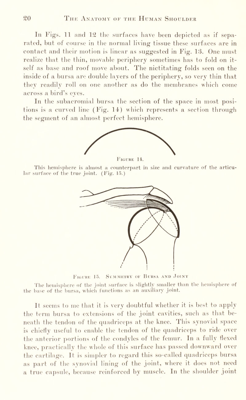 In Figs. 11 and 12 the surfaces have been depicted as if sepa¬ rated, but of course in the normal living tissue these surfaces are in contact and their motion is linear as suggested in Fig. IT One must realize that the thin, movable periphery sometimes has to fold on it¬ self as base and roof move about. The nictitating folds seen on the inside of a bursa are double layers of the periphery, so very thin that they readily roll on one another as do the membranes which come across a bird’s eyes. In the subacromial bursa the section of the space in most posi¬ tions is a curved line (Fig. IT) which represents a section through the segment of an almost perfect hemisphere. This hemisphere is almost a counterpart in size and curvature of the articu¬ lar surface of the true joint. (T'ijsr. 15.) The hemisphere of the joint surface is slightly smaller than the hemisphere of the base of the bursa, which functions as an auxiliary joint. It seems to me that it is very doubtful whether it is best to apply the term bursa to extensions of tlie joint cavities, such as that be¬ neath the tendon of the quadriceps at the knee. This synovial space is chiefly useful to enable the tendon of the quadriceps to ride over the anterior portions of the condyles of the femur. In a fully flexed knee, practically the whole of this surface has passed downward over the cartilage. It is simpler to regard this so-called quadriceps bursa as part of the svnovial lining of tlie joint, where it does not need a true capsule, because reinforced by muscle. In the shoulder joint