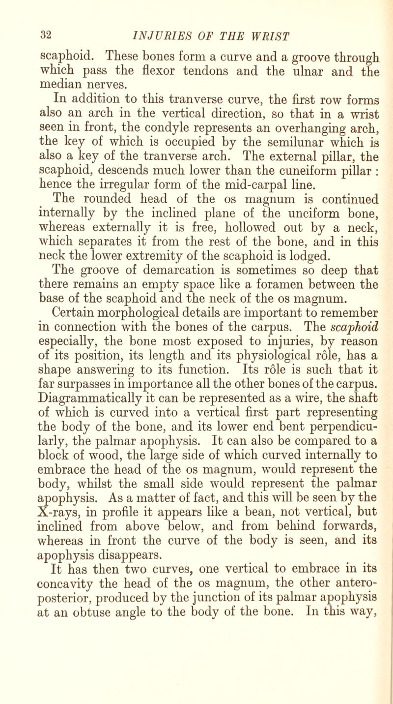 scaphoid. These bones form a curve and a groove through which pass the flexor tendons and the ulnar and the median nerves. In addition to this tranverse curve, the first row forms also an arch in the vertical direction, so that in a wrist seen in front, the condyle represents an overhanging arch, the key of which is occupied by the semilunar which is also a key of the tranverse arch. The external pillar, the scaphoid, descends much lower than the cuneiform pillar : hence the irregular form of the mid-carpal line. The rounded head of the os magnum is continued internally by the inclined plane of the unciform bone, whereas externally it is free, hollowed out by a neck, which separates it from the rest of the bone, and in this neck the lower extremity of the scaphoid is lodged. The groove of demarcation is sometimes so deep that there remains an empty space like a foramen between the base of the scaphoid and the neck of the os magnum. Certain morphological details are important to remember in connection with the bones of the carpus. The scaphoid especially, the bone most exposed to injuries, by reason of its position, its length and its physiological role, has a shape answering to its function. Its role is such that it far surpasses in importance all the other bones of the carpus. Diagrammatically it can be represented as a wire, the shaft of which is curved into a vertical first part representing the body of the bone, and its lower end bent perpendicu¬ larly, the palmar apophysis. It can also be compared to a block of wood, the large side of which curved internally to embrace the head of the os magnum, would represent the body, whilst the small side would represent the palmar apophysis. As a matter of fact, and this will be seen by the X-rays, in profile it appears like a bean, not vertical, but inclined from above below, and from behind forwards, whereas in front the curve of the body is seen, and its apophysis disappears. It has then two curves, one vertical to embrace in its concavity the head of the os magnum, the other antero¬ posterior, produced by the junction of its palmar apophysis at an obtuse angle to the body of the bone. In this way,
