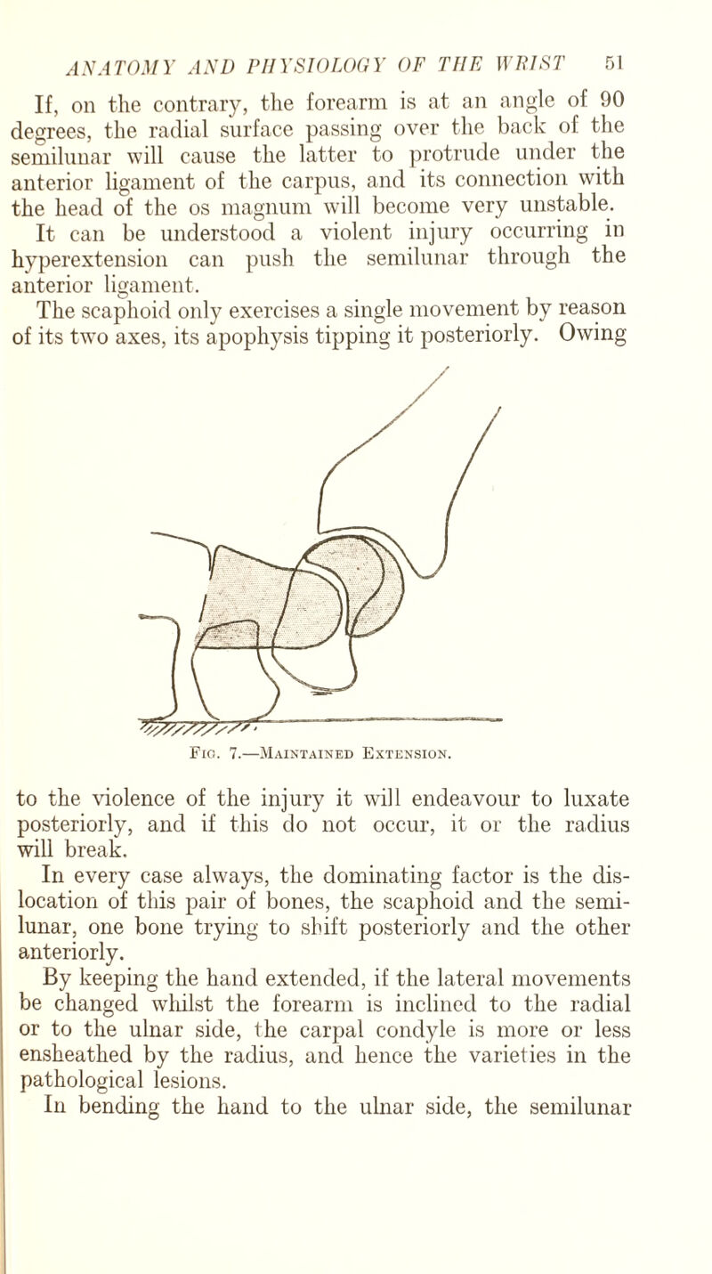 If, on the contrary, the forearm is at an angle of 90 degrees, the radial surface passing over the back of the semilunar will cause the latter to protrude under the anterior ligament of the carpus, and its connection with the head of the os magnum will become very unstable. It can be understood a violent injury occurring in hyperextension can push the semilunar through the anterior ligament. The scaphoid only exercises a single movement by reason of its two axes, its apophysis tipping it posteriorly. Owing to the violence of the injury it will endeavour to luxate posteriorly, and if this do not occur, it or the radius will break. In every case always, the dominating factor is the dis¬ location of this pair of bones, the scaphoid and the semi¬ lunar, one bone trying to shift posteriorly and the other anteriorly. By keeping the hand extended, if the lateral movements be changed whilst the forearm is inclined to the radial or to the ulnar side, the carpal condyle is more or less ensheathed by the radius, and hence the varieties in the pathological lesions. In bending the hand to the ulnar side, the semilunar