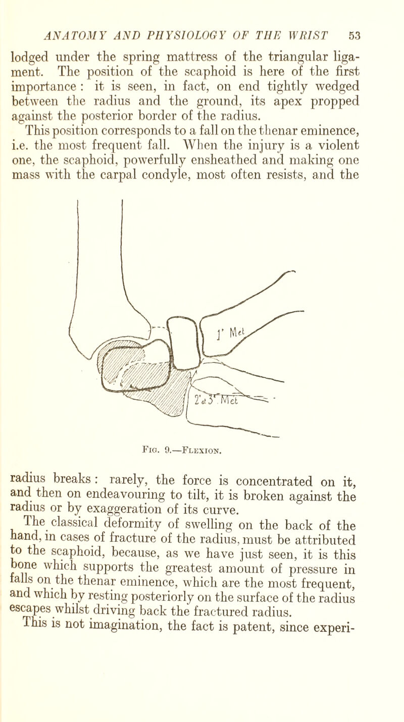 lodged under the spring mattress of the triangular liga¬ ment. The position of the scaphoid is here of the first importance : it is seen, in fact, on end tightly wedged between the radius and the ground, its apex propped against the posterior border of the radius. This position corresponds to a fall on the thenar eminence, i.e. the most frequent fall. When the injury is a violent one, the scaphoid, powerfully enshcathed and making one mass with the carpal condyle, most often resists, and the radius breaks : rarely, the force is concentrated on it, and then on endeavouring to tilt, it is broken against the radius or by exaggeration of its curve. The classical deformity of swelling on the back of the hand, in cases of fracture of the radius, must be attributed to the scaphoid, because, as we have just seen, it is this bone which supports the greatest amount of pressure in falls on the thenar eminence, which are the most frequent, and which by resting posteriorly on the surface of the radius escapes whilst driving back the fractured radius. Ihis is not imagination, the fact is patent, since experi-