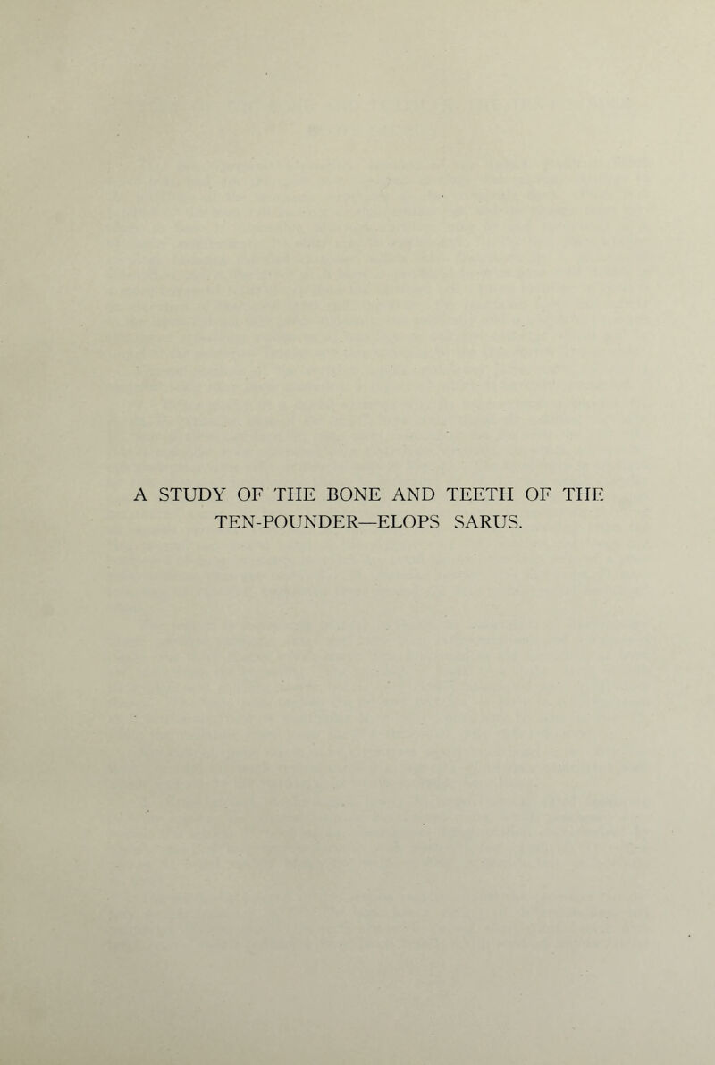 A STUDY OF THE BONE AND TEETH OF THE TEN-POUNDER—ELOPS SARUS.