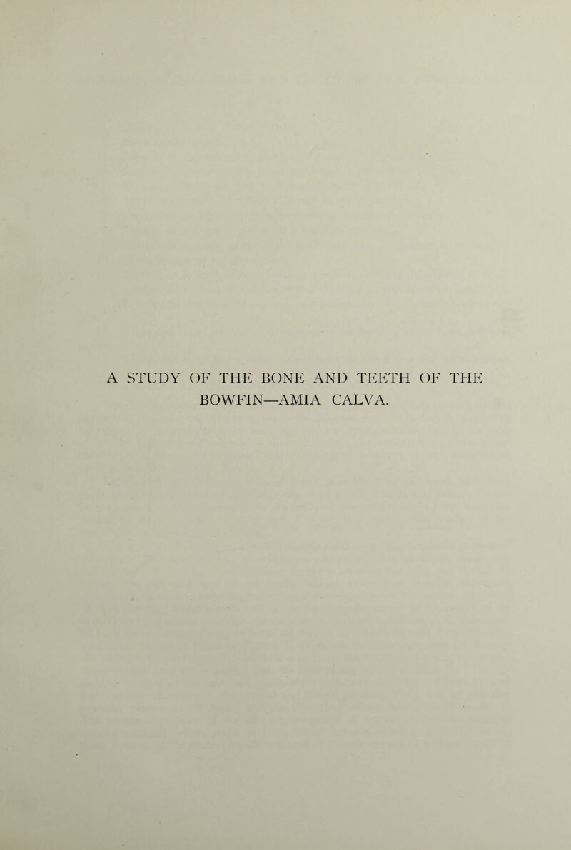 A STUDY OF THE BONE AND TEETH OF THE BOWFIN—AMIA CALVA.