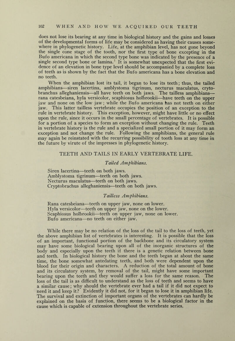 does not lose its bearing at any time in biological history and the gains and losses of the developmental forms of life may be considered as having their causes some¬ where in phylogenetic history. Life, at the amphibian level, has not gone beyond the single cone stage of the tooth, nor the first type of bone excepting in the Bufo americana in which the second type bone was indicated by the presence of a single second type bone or lamina.' It is somewhat unexpected that the first evi¬ dence of an elevation in bone type level should be accompanied by a complete loss of teeth as is shown by the fact that the Bufo americana has a bone elevation and no teeth. When the amphibian lost its tail, it began to lose its teeth; thus, the tailed amphibians—siren lacertina, amblystoma tigrinum, necturus maculatus, cryto- branchus alleghaniensis—all have teeth on both jaws. The tailless amphibians— rana catesbeiana, hyla versicolor, scaphiosus holbrookii—have teeth on the upper jaw and none on the low jaw; while the Bufo americana has not teeth on either jaw. This latter tailless vertebrate occupies the position of an exception to the rule in vertebrate history. This exception, however, might have little or no effect upon the rule, since it occurs in the small percentage of vertebrates. It is possible for a portion of a species to form an exception without changing the rule. Teeth in vertebrate history is the rule and a specialized small portion of it may form an exception and not change the rule. Following the amphibians, the general rule may again be reinstated with the recurring possibility of tooth loss at any time in the future by virute of the impresses in phylogenetic history. TEETH AND TAILS IN EARLY VERTEBRATE LIFE. Tailed Amphibians. Siren lacertina—teeth on both jaws. Amblystoma tigrinum—teeth on both jaws. Necturus maculatus—teeth on both jaws. Cryptobrachus alleghaniensis—teeth on both jaws. Tailless Amphibians. Rana catesbeiana—teeth on upper jaw, none on lower. Hyla versicolor—teeth on upper jaw, none on the lower. Scaphiosus holbrookii—teeth on upper jaw, none on lower. Bufo americana—no teeth on either jaw. While there may be no relation of the loss of the tail to the loss of teeth, yet the above amphibian list of vertebrates is interesting. It is possible that the loss of an important, functional portion of the backbone and its circulatory system may have some biological bearing upon all of the inorganic structures of the body and especially upon the teeth if there is a genetic relation between bone and teeth. In biological history the bone and the teeth began at about the same time, the bone somewhat antedating teeth, and both were dependent upon the blood for their origin and characters. A reduction of the total amount of bone and its circulatory system, by removal of the tail, might have some important bearing upon the teeth and they would suffer a loss for the same reason. The loss of the tail is as difficult to understand as the loss of teeth and seems to have a similar cause; why should the vertebrate ever had a tail if it did not expect to need it and keep it? Evidently it did not, for it began to lose it in amphibian life. The survival and extinction of important organs of the vertebrates can hardly be explained on the basis of function, there seems to be a biological factor in the cause which is capable of extension throughout the vertebrate series.