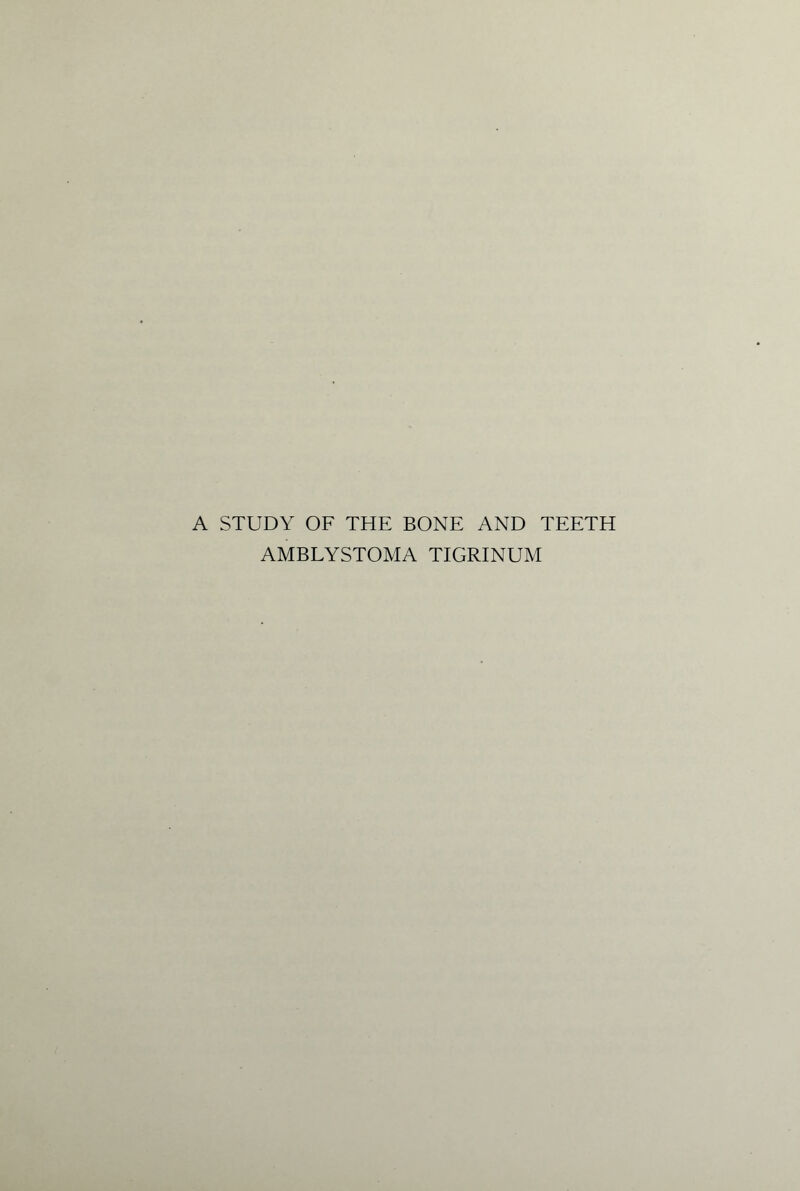 A STUDY OF THE BONE AND TEETH AMBLYSTOMA TIGRINUM