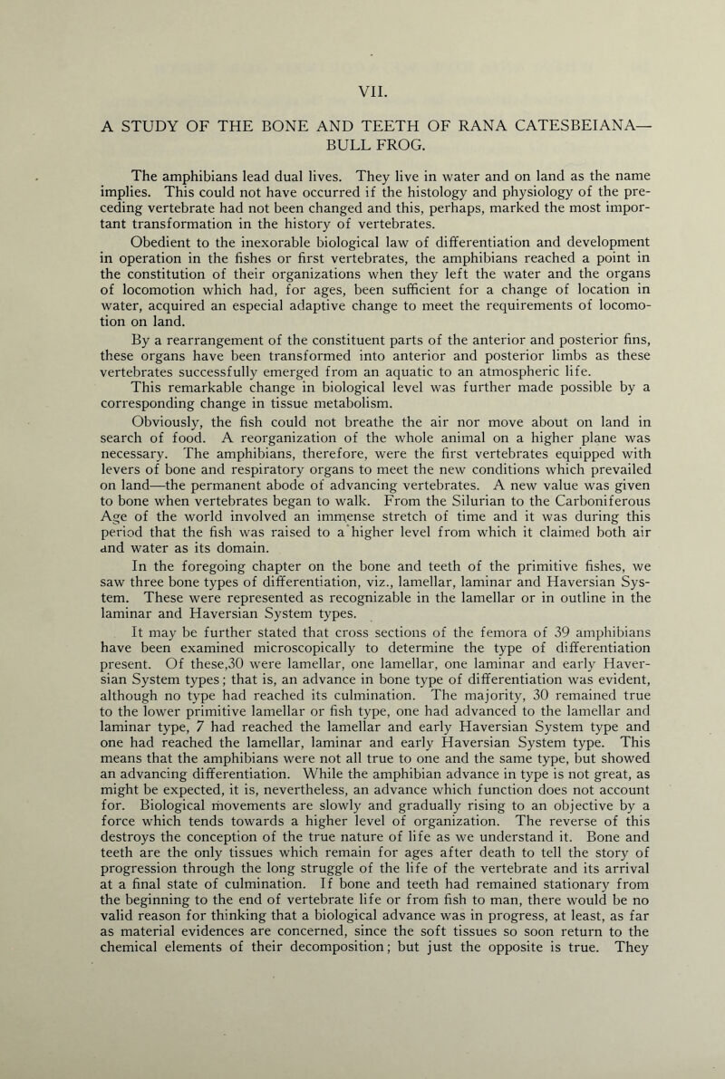 VII. A STUDY OF THE BONE AND TEETH OF RANA CATESBEIANA— BULL FROG. The amphibians lead dual lives. They live in water and on land as the name implies. This could not have occurred if the histology and physiology of the pre¬ ceding vertebrate had not been changed and this, perhaps, marked the most impor¬ tant transformation in the history of vertebrates. Obedient to the inexorable biological law of differentiation and development in operation in the fishes or first vertebrates, the amphibians reached a point in the constitution of their organizations when they left the water and the organs of locomotion which had, for ages, been sufficient for a change of location in water, acquired an especial adaptive change to meet the requirements of locomo¬ tion on land. By a rearrangement of the constituent parts of the anterior and posterior fins, these organs have been transformed into anterior and posterior limbs as these vertebrates successfully emerged from an aquatic to an atmospheric life. This remarkable change in biological level was further made possible by a corresponding change in tissue metabolism. Obviously, the fish could not breathe the air nor move about on land in search of food. A reorganization of the whole animal on a higher plane was necessary. The amphibians, therefore, were the first vertebrates equipped with levers of bone and respiratory organs to meet the new conditions which prevailed on land—the permanent abode of advancing vertebrates. A new value was given to bone when vertebrates began to walk. From the Silurian to the Carboniferous Age of the world involved an immense stretch of time and it was during this period that the fish was raised to a higher level from which it claimed both air and water as its domain. In the foregoing chapter on the bone and teeth of the primitive fishes, we saw three bone types of differentiation, viz., lamellar, laminar and Haversian Sys¬ tem. These were represented as recognizable in the lamellar or in outline in the laminar and Haversian System types. It may be further stated that cross sections of the femora of 39 amphibians have been examined microscopically to determine the type of differentiation present. Of these,30 were lamellar, one lamellar, one laminar and early Haver¬ sian System types; that is, an advance in bone type of differentiation was evident, although no type had reached its culmination. The majority, 30 remained true to the lower primitive lamellar or fish type, one had advanced to the lamellar and laminar type, 7 had reached the lamellar and early Haversian System type and one had reached the lamellar, laminar and early Haversian System type. This means that the amphibians were not all true to one and the same type, but showed an advancing differentiation. While the amphibian advance in type is not great, as might be expected, it is, nevertheless, an advance which function does not account for. Biological movements are slowly and gradually rising to an objective by a force which tends towards a higher level of organization. The reverse of this destroys the conception of the true nature of life as we understand it. Bone and teeth are the only tissues which remain for ages after death to tell the story of progression through the long struggle of the life of the vertebrate and its arrival at a final state of culmination. If bone and teeth had remained stationary from the beginning to the end of vertebrate life or from fish to man, there would be no valid reason for thinking that a biological advance was in progress, at least, as far as material evidences are concerned, since the soft tissues so soon return to the chemical elements of their decomposition; but just the opposite is true. They