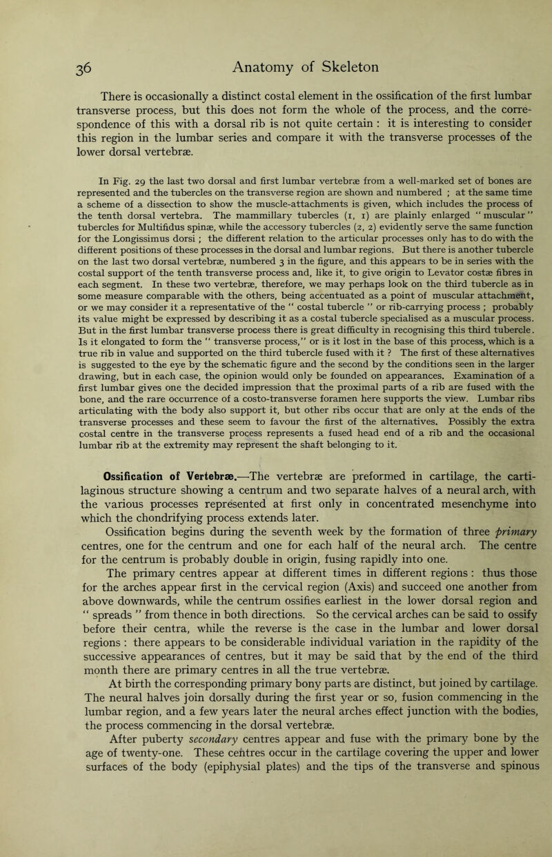 There is occasionally a distinct costal element in the ossification of the first lumbar transverse process, but this does not form the whole of the process, and the corre¬ spondence of this with a dorsal rib is not quite certain : it is interesting to consider this region in the lumbar series and compare it with the transverse processes of the lower dorsal vertebrae. In Fig. 29 the last two dorsal and first lumbar vertebrae from a well-marked set of bones are represented and the tubercles on the transverse region are shown and numbered ; at the same time a scheme of a dissection to show the muscle-attachments is given, which includes the process of the tenth dorsal vertebra. The mammillary tubercles (1, 1) are plainly enlarged “ muscular ” tubercles for Multifidus spinae, while the accessory tubercles (2, 2) evidently serve the same function for the Longissimus dorsi; the different relation to the articular processes only has to do with the different positions of these processes in the dorsal and lumbar regions. But there is another tubercle on the last two dorsal vertebrae, numbered 3 in the figure, and this appears to be in series with the costal support of the tenth transverse process and, like it, to give origin to Levator costae fibres in each segment. In these two vertebrae, therefore, we may perhaps look on the third tubercle as in some measure comparable with the others, being accentuated as a point of muscular attachment, or we may consider it a representative of the “ costal tubercle ” or rib-carrying process ; probably its value might be expressed by describing it as a costal tubercle specialised as a muscular process. But in the first lumbar transverse process there is great difficulty in recognising this third tubercle. Is it elongated to form the “ transverse process,” or is it lost in the base of this process, which is a true rib in value and supported on the third tubercle fused with it ? The first of these alternatives is suggested to the eye by the schematic figure and the second by the conditions seen in the larger drawing, but in each case, the opinion would only be founded on appearances. Examination of a first lumbar gives one the decided impression that the proximal parts of a rib are fused with the bone, and the rare occurrence of a costo-transverse foramen here supports the view. Lumbar ribs articulating with the body also support it, but other ribs occur that are only at the ends of the transverse processes and these seem to favour the first of the alternatives. Possibly the extra costal centre in the transverse process represents a fused head end of a rib and the occasional lumbar rib at the extremity may represent the shaft belonging to it. Ossification of Vertebrae.—'The vertebrae are preformed in cartilage, the carti¬ laginous structure showing a centrum and two separate halves of a neural arch, with the various processes represented at first only in concentrated mesenchyme into which the chondrifying process extends later. Ossification begins during the seventh week by the formation of three primary centres, one for the centrum and one for each half of the neural arch. The centre for the centrum is probably double in origin, fusing rapidly into one. The primary centres appear at different times in different regions : thus those for the arches appear first in the cervical region (Axis) and succeed one another from above downwards, while the centrum ossifies earliest in the lower dorsal region and “ spreads ” from thence in both directions. So the cervical arches can be said to ossify before their centra, while the reverse is the case in the lumbar and lower dorsal regions : there appears to be considerable individual variation in the rapidity of the successive appearances of centres, but it may be said that by the end of the third month there are primary centres in all the true vertebrae. At birth the corresponding primary bony parts are distinct, but joined by cartilage. The neural halves join dorsally during the first year or so, fusion commencing in the lumbar region, and a few years later the neural arches effect junction with the bodies, the process commencing in the dorsal vertebrae. After puberty secondary centres appear and fuse with the primary bone by the age of twenty-one. These centres occur in the cartilage covering the upper and lower surfaces of the body (epiphysial plates) and the tips of the transverse and spinous