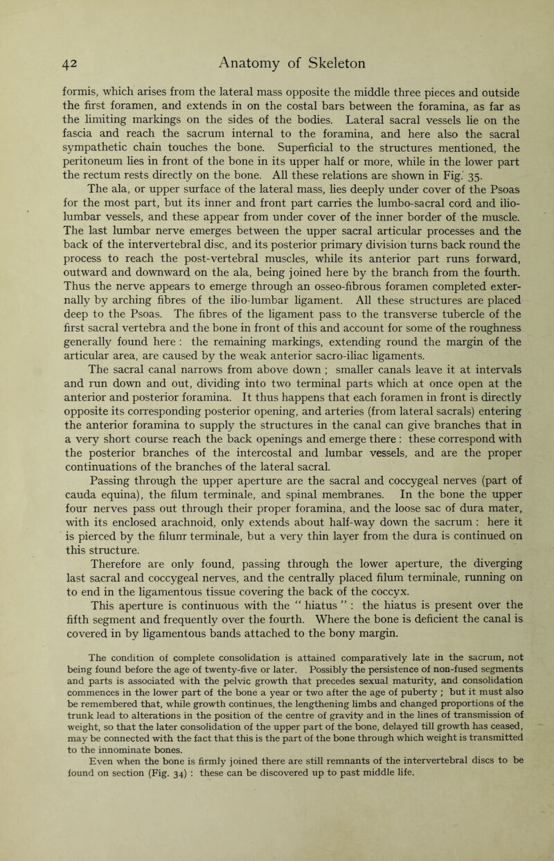 formis, which arises from the lateral mass opposite the middle three pieces and outside the first foramen, and extends in on the costal bars between the foramina, as far as the limiting markings on the sides of the bodies. Lateral sacral vessels lie on the fascia and reach the sacrum internal to the foramina, and here also the sacral sympathetic chain touches the bone. Superficial to the structures mentioned, the peritoneum lies in front of the bone in its upper half or more, while in the lower part the rectum rests directly on the bone. All these relations are shown in Fig. 35. The ala, or upper surface of the lateral mass, lies deeply under cover of the Psoas for the most part, but its inner and front part carries the lumbo-sacral cord and ilio¬ lumbar vessels, and these appear from under cover of the inner border of the muscle. The last lumbar nerve emerges between the upper sacral articular processes and the back of the intervertebral disc, and its posterior primary division turns back round the process to reach the post-vertebral muscles, while its anterior part runs forward, outward and downward on the ala, being joined here by the branch from the fourth. Thus the nerve appears to emerge through an osseo-fibrous foramen completed exter¬ nally by arching fibres of the ilio-lumbar ligament. All these structures are placed deep to the Psoas. The fibres of the ligament pass to the transverse tubercle of the first sacral vertebra and the bone in front of this and account for some of the roughness generally found here : the remaining markings, extending round the margin of the articular area, are caused by the weak anterior sacro-iliac ligaments. The sacral canal narrows from above down ; smaller canals leave it at intervals and run down and out, dividing into two terminal parts which at once open at the anterior and posterior foramina. It thus happens that each foramen in front is directly opposite its corresponding posterior opening, and arteries (from lateral sacrals) entering the anterior foramina to supply the structures in the canal can give branches that in a very short course reach the back openings and emerge there : these correspond with the posterior branches of the intercostal and lumbar vessels, and are the proper continuations of the branches of the lateral sacral. Passing through the upper aperture are the sacral and coccygeal nerves (part of cauda equina), the filum terminate, and spinal membranes. In the bone the upper four nerves pass out through their proper foramina, and the loose sac of dura mater, with its enclosed arachnoid, only extends about half-way down the sacrum : here it is pierced by the filum terminale, but a very thin layer from the dura is continued on this structure. Therefore are only found, passing through the lower aperture, the diverging last sacral and coccygeal nerves, and the centrally placed filum terminale, running on to end in the ligamentous tissue covering the back of the coccyx. This aperture is continuous with the “ hiatus ” : the hiatus is present over the fifth segment and frequently over the fourth. Where the bone is deficient the canal is covered in by ligamentous bands attached to the bony margin. The condition of complete consolidation is attained comparatively late in the sacrum, not being found before the age of twenty-five or later. Possibly the persistence of non-fused segments and parts is associated with the pelvic growth that precedes sexual maturity, and consolidation commences in the lower part of the bone a year or two after the age of puberty ; but it must also be remembered that, while growth continues, the lengthening limbs and changed proportions of the trunk lead to alterations in the position of the centre of gravity and in the lines of transmission of weight, so that the later consolidation of the upper part of the bone, delayed till growth has ceased, may be connected with the fact that this is the part of the bone through which weight is transmitted to the innominate bones. Even when the bone is firmly joined there are still remnants of the intervertebral discs to be found on section (Fig. 34) : these can be discovered up to past middle life.