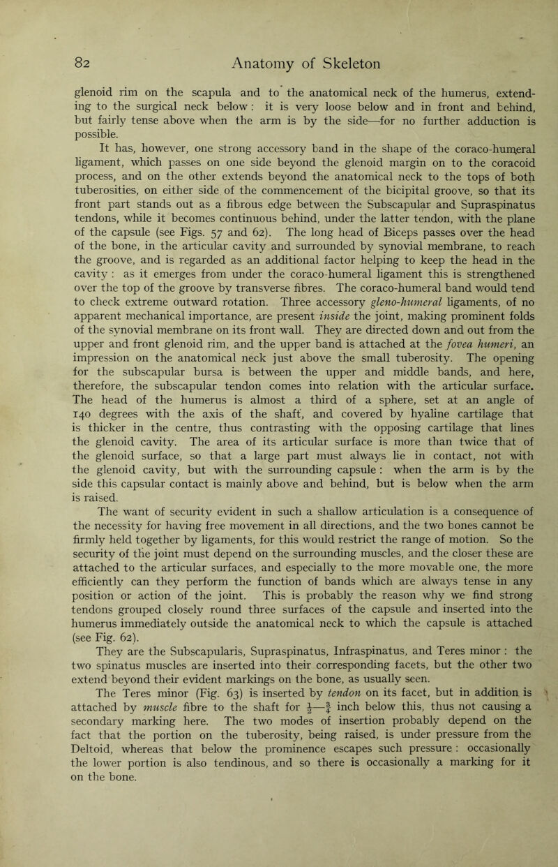 glenoid rim on the scapula and to the anatomical neck of the humerus, extend¬ ing to the surgical neck below : it is very loose below and in front and behind, but fairly tense above when the arm is by the side—for no further adduction is possible. It has, however, one strong accessory band in the shape of the coraco-hum,eral ligament, which passes on one side beyond the glenoid margin on to the coracoid process, and on the other extends beyond the anatomical neck to the tops of both tuberosities, on either side of the commencement of the bicipital groove, so that its front part stands out as a fibrous edge between the Subscapular and Supraspinatus tendons, while it becomes continuous behind, under the latter tendon, with the plane of the capsule (see Figs. 57 and 62). The long head of Biceps passes over the head of the bone, in the articular cavity and surrounded by synovial membrane, to reach the groove, and is regarded as an additional factor helping to keep the head in the cavity : as it emerges from under the coraco-humeral ligament this is strengthened over the top of the groove by transverse fibres. The coraco-humeral band would tend to check extreme outward rotation. Three accessory gleno-humeral ligaments, of no apparent mechanical importance, are present inside the joint, making prominent folds of the synovial membrane on its front wall. They are directed down and out from the upper and front glenoid rim, and the upper band is attached at the fovea humeri, an impression on the anatomical neck just above the small tuberosity. The opening for the subscapular bursa is between the upper and middle bands, and here, therefore, the subscapular tendon comes into relation with the articular surface. The head of the humerus is almost a third of a sphere, set at an angle of 140 degrees with the axis of the shaft, and covered by hyaline cartilage that is thicker in the centre, thus contrasting with the opposing cartilage that lines the glenoid cavity. The area of its articular surface is more than twice that of the glenoid surface, so that a large part must always lie in contact, not with the glenoid cavity, but with the surrounding capsule : when the arm is by the side this capsular contact is mainly above and behind, but is below when the arm is raised. The want of security evident in such a shallow articulation is a consequence of the necessity for having free movement in all directions, and the two bones cannot be firmly held together by ligaments, for this would restrict the range of motion. So the security of the joint must depend on the surrounding muscles, and the closer these are attached to the articular surfaces, and especially to the more movable one, the more efficiently can they perform the function of bands which are always tense in any position or action of the joint. This is probably the reason why we find strong tendons grouped closely round three surfaces of the capsule and inserted into the humerus immediately outside the anatomical neck to which the capsule is attached (see Fig. 62). They are the Subscapularis, Supraspinatus, Infraspinatus, and Teres minor : the two spinatus muscles are inserted into their corresponding facets, but the other two extend beyond their evident markings on the bone, as usually seen. The Teres minor (Fig. 63) is inserted by tendon on its facet, but in addition is attached by muscle fibre to the shaft for ^—J inch below this, thus not causing a secondary marking here. The two modes of insertion probably depend on the fact that the portion on the tuberosity, being raised, is under pressure from the Deltoid, whereas that below the prominence escapes such pressure : occasionally the lower portion is also tendinous, and so there is occasionally a marking for it on the bone.