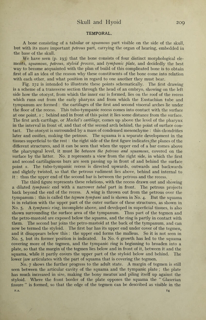 TEMPORAL. A bone consisting of a tabular or squamous part visible on the side of the skull, but with its more important petrous part, carrying the organ of hearing, embedded in the base of the skull. We have seen (p. 193) that the bone consists of four distinct morphological ele¬ ments, squamous, petrous, styloid process, and tympanic plate, and decidedly the best way to become acquainted with the plan of build of this complicated bone is to obtain first of all an idea of the reason why these constituents of the bone come into relation with each other, and what position in regard to one another they must bear. Fig. 172 is intended to illustrate these points schematically. The first drawing is a scheme of a transverse section through the head of an embryo, showing on the left side how the otocyst, from which the inner ear is formed, lies on the roof of the recess which runs out from the early pharynx and from which the Eustachian tube and tympanum are formed : the cartilages of the first and second visceral arches lie under the floor of the recess. This tubo-tympanic recess comes into contact with the surface at one point, x ; behind and in front of this point it lies some distance from the surface. The first arch cartilage, or Meckel’s cartilage, comes up above the level of the pharynx in the interval in front of, and that of the second arch behind, the point of surface con¬ tact. The otocyst is surrounded by a mass of condensed mesenchyme : this chondrifies later and ossifies, making the petrous. The squama is a separate development in the tissues superficial to the rest : the right side of the first figure indicates the planes of the different structures, and it can be seen that when the upper end of a bar comes above the pharyngeal level, it must lie between the petrous and squamous, covered on the surface by the latter. No. 2 represents a view from the right side, in which the first and second cartilaginous bars are seen passing up in front of and behind the surface point x. The tubo-tympanic recess is directed upwards, outwards and backwards and slightly twisted, so that the petrous rudiment lies above, behind and internal to it : thus the upper end of the second bar is between the petrous and the recess. The third figure represents these relations, with the recess drawn out and showing a dilated tympanic end with a narrower tubal part in front. The petrous projects back beyond the end of the recess. A wing is thrown out from the petrous over the tympanum : this is called the tegmen tympani and is shown in No. 4. But the squama is in relation with the upper part of the outer surface of these structures, as shown in No. 5. A tympanic ring, incomplete above, and developed in superficial tissues, is also shown surrounding the surface area of the tympanum. Thus part of the tegmen and the petro-mastoid are exposed below the squama, and the ring is partly in contact with them. The second bar joins the petro-mastoid at the back of the tympanum, and can now be termed the styloid. The first bar has its upper end under cover of the tegmen, and it disappears below this : the upper end forms the malleus. So it is not seen in No. 5, but its former position is indicated. In No. 6 growth has led to the squama covering more of the tegmen, and the tympanic ring is beginning to broaden into a plate, so that the margin of the tegmen lies below and in front of it, between it and the squama, while it partly covers the upper part of the styloid below and behind. The lower jaw articulates with the part of squama that is covering the tegmen. No. 7 shows the further progress to the adult state. A margin of tegmen is still seen between the articular cavity of the squama and the tympanic plate ; the plate has much increased in sire, making the bony meatus and piling itself up against the styloid. Where the front border of the plate opposes the squama the “ Glaserian fissure ” is formed, so that the edge of the tegmen can be described as visible in the