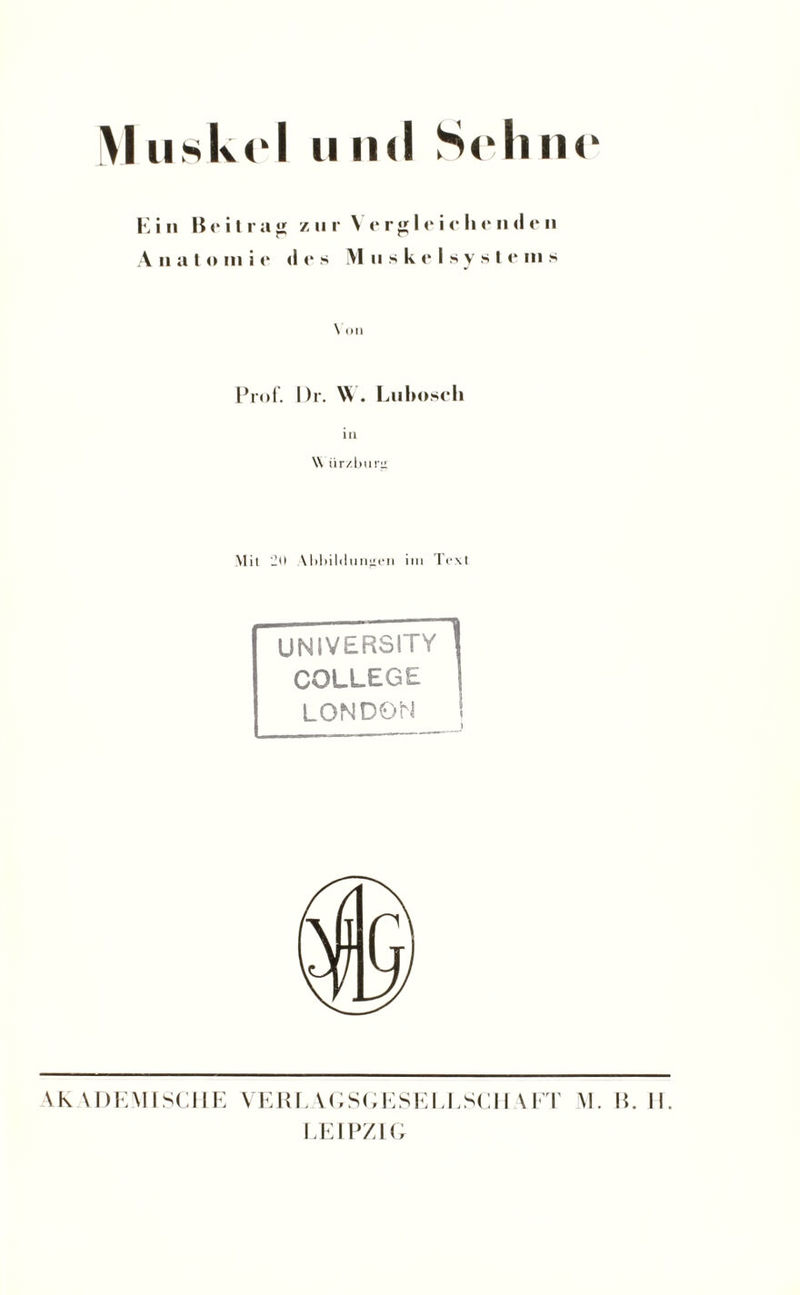 E in B e i I r a g zur Verglci o Ii e n <1 c n A n a t o m i o <11“ s Muskels y s I e in s \ Oll Prof. Dr. W. Lnliosch in \\ iirzburit Mit 2(1 Mibildtinj'en im Text university! COLLEGE I LONDON 1 AKADEMISCHE VERLAGSGESELLSCHAFT M. B. II. LEIPZIG