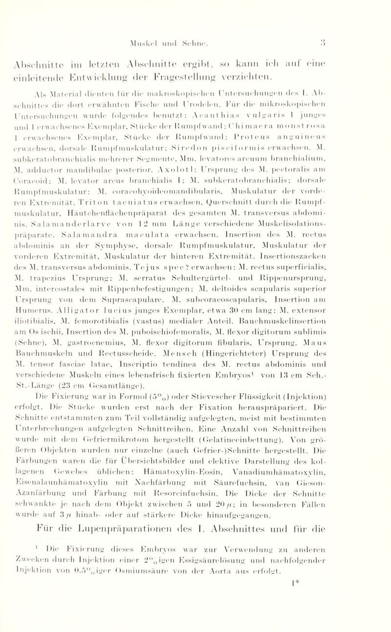•) Abschnitte im letzten Abschnitte ergibt, so kann ich anl eine einleitende KntwieUlnng der Fragestellung verzichten. Als Material dienten für die makroskopischen l nt ersuchungen des I. Ab¬ schnittes die dort erwähnten Fische und l'rodelen. Für die mikroskopischen Untersuchungen wurde folgendes benutzt: Acanthias vulgaris I junges und I erwachsenes F.xemplar. Stiieke der Hutnpfwand : ('hi inaem minist rosa I erwachsenes F.xetnplar. Stücke der Kumpfwand: Proteus anguincus erwachsen, dorsale Rumpfmuskulatur; Siredon p i s ei fo r m i s erwachsen. AI. subkeratobranchialis midirerer Segmente, Mm. Ievatores areutim branchialiuin, AI. adduetor tnandibulae posterior. Axolotl: Ursprung des Al. pectoralis am Coraeoid: M. levator areus branehialis I; M. subkeratobranchialis; dorsale Rumpfmuskulatur: M. coraeohyoideomandibularis. Muskulatur der vorde reu Kxt re mit ät. Triton t ae n i a t us erwachsen. Querschnitt durch die Rumpf¬ muskulatur. Häutchenflächenpräparat des gesamten M. transversus abdomi- nis. Salamanderlarve von 12 mm Länge verschiedene Muskelisolations¬ präparate. Salamandra maculata erwachsen. Insertion des M. reetus abdominis an der Symphyse, dorsale Rumpfmuskulatur, Muskulatur der vorderen Fxtremität, Muskulatur der hinteren Extremität. Insertionszacken des M. transversus abdominis. Te j us spe c ? erwachsen : M. reetus superficialis, M. trapezius Ursprung; M. serratus Schultergürtel- und Rippenursprung, Mm. intercostales mit Rippenbefestigungen: M. deltoides scapularis superior Ursprung von dem Suprascapulare. M. subeoracoscapularis, Insertion am Humerus. Alligator lucius junges Exemplar, etwa 30 cm lang: M. extensor iliotibialis. M. femorotibialis (vastus) medialer Anteil. Bauchmuskelinsertion am Os isehii. Insertion des AI. puboiscliiofemoralis, AI. flexor digitorum sublimis (Sehne). AI. gastroenemius, AI. flexor digitorum fibularis, Ursprung. .Maus Bauchmuskeln und Rectusscheide. Mensch (Hingerichteter) Ursprung des AI. tensor fasciae latae. Inscriptio tendinea des AI. reetus abdominis und verschiedene Aluskeln eines lebensfrisch fixierten Embryos1 von 13 cm Seh.- St.-Länge (23 cm Oesamtlänge). Die Fixierung war in Formol (ö°()) oder Stieveseher Flüssigkeit (Injektion) erfolgt. Die Stücke wurden erst nach der Fixation herauspräpariert. Die Schnitte entstammten zum Teil vollständig aufgelegten, meist mit bestimmten I nterbrechungen aufgelegten Schnittreihen. Eine Anzahl von Schnittreihen wurde mit dem Gefriermikrotom hergestellt (Gelatineeinbettung). Aon grö¬ ßeren Objekten wurden nur einzelne (auch Gefrier-JSehnitte hergestellt. Die Färbungen waren die für Übersichtsbilder und elektive Darstellung des kol- lagenen Gewebes üblichen: Hämatoxylin-Eosin, Vanadiumhämatoxylin, Eisenalaunhämatoxylin mit Nachfärbung mit Säurefuchsin, van Gieson- Azanfärbung und Färbung mit Resoreinfuehsin. Die Dicke der Schnitte .schwankte je nach dem Objekt zwischen ö und 20//; in besonderen Fällen wurde auf 3/t hinab- oder auf stärkere Dicke hinaufgegangen. Für die Lupenpräparationen des I. Abschnittes und für die 1 Die Fixierung dieses Embryos war zur Verwendung zu anderen Zwecken durch Injektion einer 2H0igen Fssigsäurelösung und nachfolgender Injektion von 0.5°,jiger Osmiumsäure von der Aorta aus erfolgt.