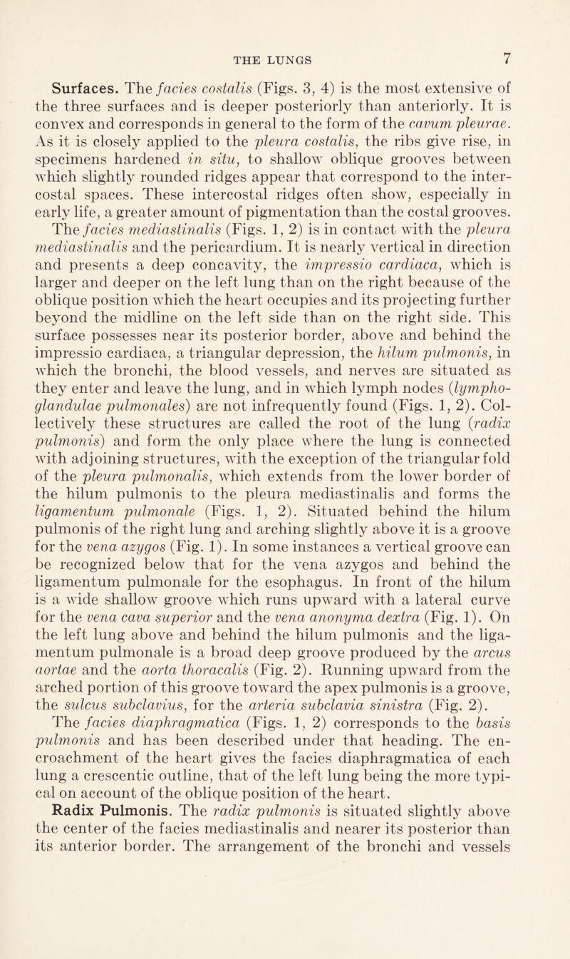 Surfaces. The facies costalis (Figs. 3, 4) is the most extensive of the three surfaces and is deeper posteriorly than anteriorly. It is convex and corresponds in general to the form of the cavum pleurae. As it is closely applied to the pleura costalis, the ribs give rise, in specimens hardened in situ, to shallow oblique grooves between which slightly rounded ridges appear that correspond to the inter¬ costal spaces. These intercostal ridges often show, especially in early life, a greater amount of pigmentation than the costal grooves. The facies mediastinalis (Figs. 1, 2) is in contact with the pleura mediastinalis and the pericardium. It is nearly vertical in direction and presents a deep concavity, the impressio cardiaca, which is larger and deeper on the left lung than on the right because of the oblique position which the heart occupies and its projecting further beyond the midline on the left side than on the right side. This surface possesses near its posterior border, above and behind the impressio cardiaca, a triangular depression, the hilum pulmonis, in which the bronchi, the blood vessels, and nerves are situated as they enter and leave the lung, and in which lymph nodes (lympho- glandulae pulmonales) are not infrequently found (Figs. 1, 2). Col¬ lectively these structures are called the root of the lung (radix pulmonis) and form the only place where the lung is connected with adjoining structures, with the exception of the triangular fold of the pleura pulmonalis, which extends from the lower border of the hilum pulmonis to the pleura mediastinalis and forms the ligamentum pulmonale (Figs. 1, 2). Situated behind the hilum pulmonis of the right lung and arching slightly above it is a groove for the vena azygos (Fig. 1). In some instances a vertical groove can be recognized below that for the vena azygos and behind the ligamentum pulmonale for the esophagus. In front of the hilum is a wide shallow groove which runs upward with a lateral curve for the vena cava superior and the vena anonyma dextra (Fig. 1). On the left lung above and behind the hilum pulmonis and the liga¬ mentum pulmonale is a broad deep groove produced by the arcus aortae and the aorta thoracalis (Fig. 2). Running upward from the arched portion of this groove toward the apex pulmonis is a groove, the sulcus subclavius, for the arteria subclavia sinistra (Fig. 2). The facies diaphragmatica (Figs. 1, 2) corresponds to the basis pulmonis and has been described under that heading. The en¬ croachment of the heart gives the facies diaphragmatica of each lung a crescentic outline, that of the left lung being the more typi¬ cal on account of the oblique position of the heart. Radix Pulmonis. The radix pulmonis is situated slightly above the center of the facies mediastinalis and nearer its posterior than its anterior border. The arrangement of the bronchi and vessels