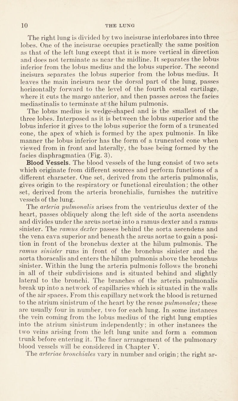 The right lung is divided by two incisurae interlobares into three lobes. One of the incisurae occupies practically the same position as that of the left lung except that it is more vertical in direction and does not terminate as near the midline. It separates the lobus inferior from the lobus medius and the lobus superior. The second incisura separates the lobus superior from the lobus medius. It leaves the main incisura near the dorsal part of the lung, passes horizontally forward to the level of the fourth costal cartilage, where it cuts the margo anterior, and then passes across the facies mediastinalis to terminate at'the hilum pulmonis. The lobus medius is wedge-shaped and is the smallest of the three lobes. Interposed as it is between the lobus superior and the lobus inferior it gives to the lobus superior the form of a truncated cone, the apex of which is formed by the apex pulmonis. In like manner the lobus inferior has the form of a truncated cone when viewed from in front and laterally, the base being formed by the facies diaphragmatica (Fig. 3). Blood Vessels. The blood vessels of the lung consist of two sets which originate from different sources and perform functions of a different character. One set, derived from the arteria pulmonalis, gives origin to the respiratory or functional circulation; the other set, derived from the arteria bronchialis, furnishes the nutritive vessels of the lung. The arteria pulmonalis arises from the ventriculus dexter of the heart, passes obliquely along the left side of the aorta ascendens and divides under the arcus aortae into a ramus dexter and a ramus sinister. The ramus dexter passes behind the aorta ascendens and the vena cava superior and beneath the arcus aortae to gain a posi¬ tion in front of the bronchus dexter at the hilum pulmonis. The ramus sinister runs in front of the bronchus sinister and the aorta thoracalis and enters the hilum pulmonis above the bronchus sinister. Within the lung the arteria pulmonis follows the bronchi in all of their subdivisions and is situated behind and slightly lateral to the bronchi. The branches of the arteria pulmonalis break up into a network of capillaries which is situated in the walls of the air spaces. From this capillary network the blood is returned to the atrium sinistrum of the heart by the venae pulmonales; these are usually four in number, two for each lung. In some instances the vein coming from the lobus medius of the right lung empties into the atrium sinistrum independently; in other instances the two veins arising from the left lung unite and form a common trunk before entering it. The finer arrangement of the pulmonary blood vessels will be considered in Chapter V. The arteriae bronchioles vary in number and origin; the right ar-