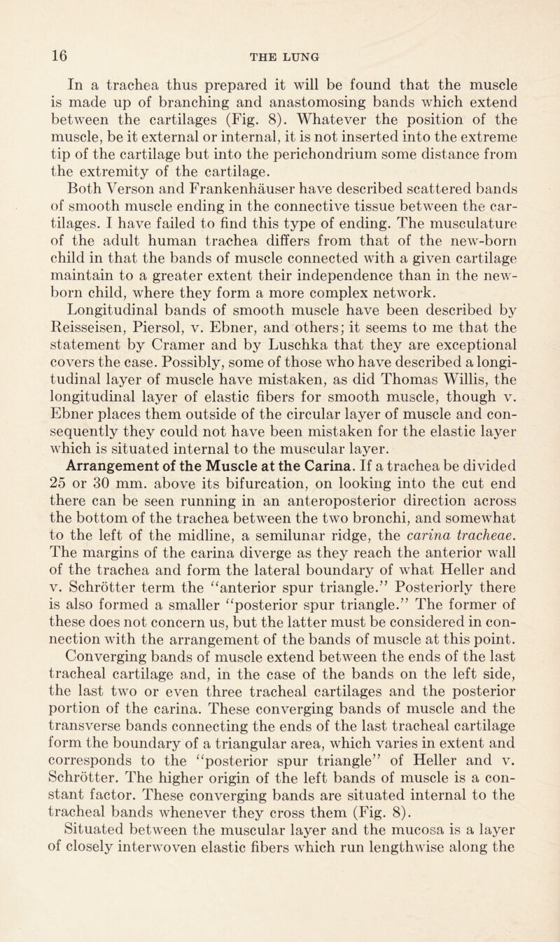 In a trachea thus prepared it will be found that the muscle is made up of branching and anastomosing bands which extend between the cartilages (Fig. 8). Whatever the position of the muscle, be it external or internal, it is not inserted into the extreme tip of the cartilage but into the perichondrium some distance from the extremity of the cartilage. Both Verson and Frankenhauser have described scattered bands of smooth muscle ending in the connective tissue between the car¬ tilages. I have failed to find this type of ending. The musculature of the adult human trachea differs from that of the new-born child in that the bands of muscle connected with a given cartilage maintain to a greater extent their independence than in the new¬ born child, where they form a more complex network. Longitudinal bands of smooth muscle have been described by Reisseisen, Piersol, v. Ebner, and others; it seems to me that the statement by Cramer and by Luschka that they are exceptional covers the case. Possibly, some of those who have described a longi¬ tudinal layer of muscle have mistaken, as did Thomas Willis, the longitudinal layer of elastic fibers for smooth muscle, though v. Ebner places them outside of the circular layer of muscle and con¬ sequently they could not have been mistaken for the elastic layer which is situated internal to the muscular layer. Arrangement of the Muscle at the Carina. If a trachea be divided 25 or 30 mm. above its bifurcation, on looking into the cut end there can be seen running in an anteroposterior direction across the bottom of the trachea between the two bronchi, and somewhat to the left of the midline, a semilunar ridge, the carina tracheae. The margins of the carina diverge as they reach the anterior wall of the trachea and form the lateral boundary of what Heller and v. Schrotter term the “anterior spur triangle.” Posteriorly there is also formed a smaller “posterior spur triangle.” The former of these does not concern us, but the latter must be considered in con¬ nection with the arrangement of the bands of muscle at this point. Converging bands of muscle extend between the ends of the last tracheal cartilage and, in the case of the bands on the left side, the last two or even three tracheal cartilages and the posterior portion of the carina. These converging bands of muscle and the transverse bands connecting the ends of the last tracheal cartilage form the boundary of a triangular area, which varies in extent and corresponds to the “posterior spur triangle” of Heller and v. Schrotter. The higher origin of the left bands of muscle is a con¬ stant factor. These converging bands are situated internal to the tracheal bands whenever they cross them (Fig. 8). Situated between the muscular layer and the mucosa is a layer of closely interwoven elastic fibers which run lengthwise along the