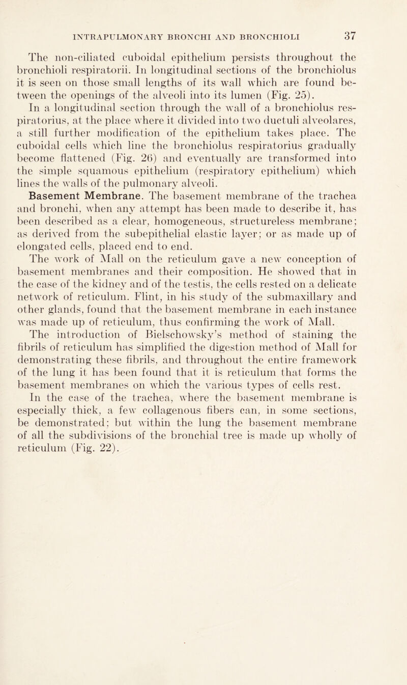 The non-ciliated cuboidal epithelium persists throughout the bronchioli respiratorii. In longitudinal sections of the bronchiolus it is seen on those small lengths of its wall which are found be¬ tween the openings of the alveoli into its lumen (Fig. 25). In a longitudinal section through the wall of a bronchiolus res- piratorius, at the place where it divided into two ductuli alveolares, a still further modification of the epithelium takes place. The cuboidal cells which line the bronchiolus respiratorius gradually become flattened (Fig. 26) and eventually are transformed into the simple squamous epithelium (respiratory epithelium) which lines the walls of the pulmonary alveoli. Basement Membrane. The basement membrane of the trachea and bronchi, when any attempt has been made to describe it, has been described as a clear, homogeneous, structureless membrane; as derived from the subepithelial elastic layer; or as made up of elongated cells, placed end to end. The work of Mall on the reticulum gave a new conception of basement membranes and their composition. He showed that in the case of the kidney and of the testis, the cells rested on a delicate network of reticulum. Flint, in his study of the submaxillary and other glands, found that the basement membrane in each instance was made up of reticulum, thus confirming the Avork of Mall. The introduction of Bielschowsky’s method of staining the fibrils of reticulum has simplified the digestion method of Mall for demonstrating these fibrils, and throughout the entire framework of the lung it has been found that it is reticulum that forms the basement membranes on Avhich the various types of cells rest. In the case of the trachea, where the basement membrane is especially thick, a feAv collagenous fibers can, in some sections, be demonstrated; but Avithin the lung the basement membrane of all the subdivisions of the bronchial tree is made up AAholly of reticulum (Fig. 22).