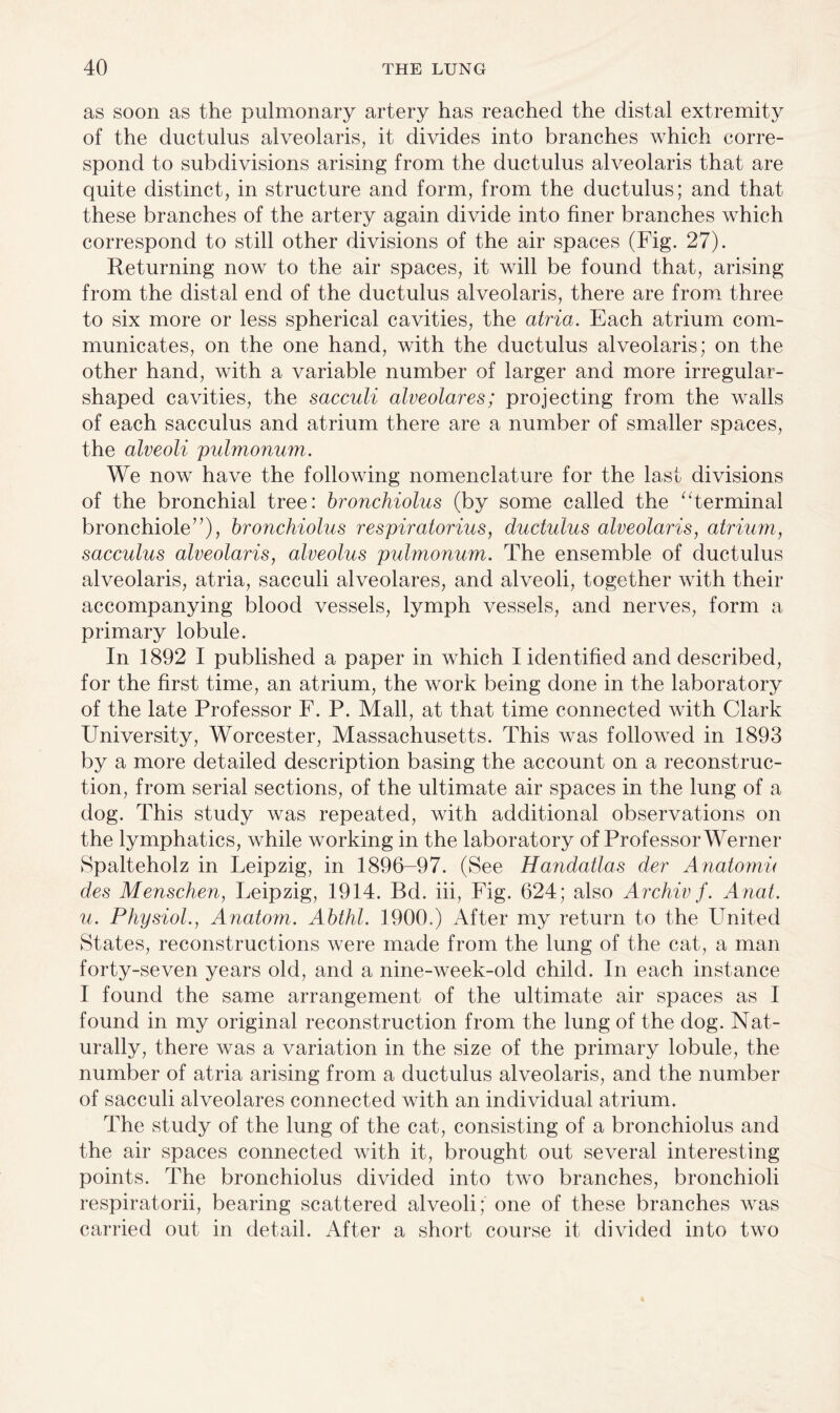 as soon as the pulmonary artery has reached the distal extremity of the ductulus alveolaris, it divides into branches which corre¬ spond to subdivisions arising from the ductulus alveolaris that are quite distinct, in structure and form, from the ductulus; and that these branches of the artery again divide into finer branches which correspond to still other divisions of the air spaces (Fig. 27). Returning now to the air spaces, it will be found that, arising from the distal end of the ductulus alveolaris, there are from three to six more or less spherical cavities, the atria. Each atrium com¬ municates, on the one hand, with the ductulus alveolaris; on the other hand, with a variable number of larger and more irregular¬ shaped cavities, the sacculi alveolares; projecting from the walls of each sacculus and atrium there are a number of smaller spaces, the alveoli pulmonum. We now have the following nomenclature for the last divisions of the bronchial tree: bronchiolus (by some called the “terminal bronchiole”), bronchiolus respiratorius, ductulus alveolaris, atrium, sacculus alveolaris, alveolus pulmonum. The ensemble of ductulus alveolaris, atria, sacculi alveolares, and alveoli, together with their accompanying blood vessels, lymph vessels, and nerves, form a primary lobule. In 1892 I published a paper in which I identified and described, for the first time, an atrium, the work being done in the laboratory of the late Professor F. P. Mall, at that time connected with Clark University, Worcester, Massachusetts. This was followed in 1893 by a more detailed description basing the account on a reconstruc¬ tion, from serial sections, of the ultimate air spaces in the lung of a dog. This study was repeated, with additional observations on the lymphatics, while working in the laboratory of Professor Werner Spalteholz in Leipzig, in 1896-97. (See Handatlas der Anatomu des Menschen, Leipzig, 1914. Bd. iii, Fig. 624; also Archivf. Anat. u. Physiol., Anatom. Abthl. 1900.) After my return to the United States, reconstructions were made from the lung of the cat, a man forty-seven years old, and a nine-week-old child. In each instance I found the same arrangement of the ultimate air spaces as I found in my original reconstruction from the lung of the dog. Nat¬ urally, there was a variation in the size of the primary lobule, the number of atria arising from a ductulus alveolaris, and the number of sacculi alveolares connected with an individual atrium. The study of the lung of the cat, consisting of a bronchiolus and the air spaces connected with it, brought out several interesting points. The bronchiolus divided into two branches, bronchioli respiratorii, bearing scattered alveoli; one of these branches was carried out in detail. After a short course it divided into two