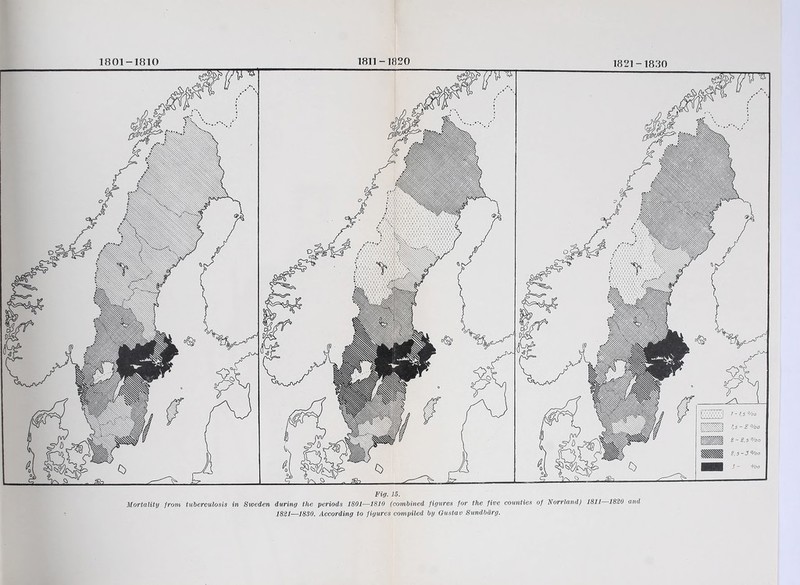 1801-1810 1811-1820 1821-1830 Fig. 15. Mortality from tuberculosis in Sweden during the periods 1801—1810 (combined figures for the five counties of Norrland) 1811 1820 and 1821—1830. According to figures compiled by Gustav Sundbärg.