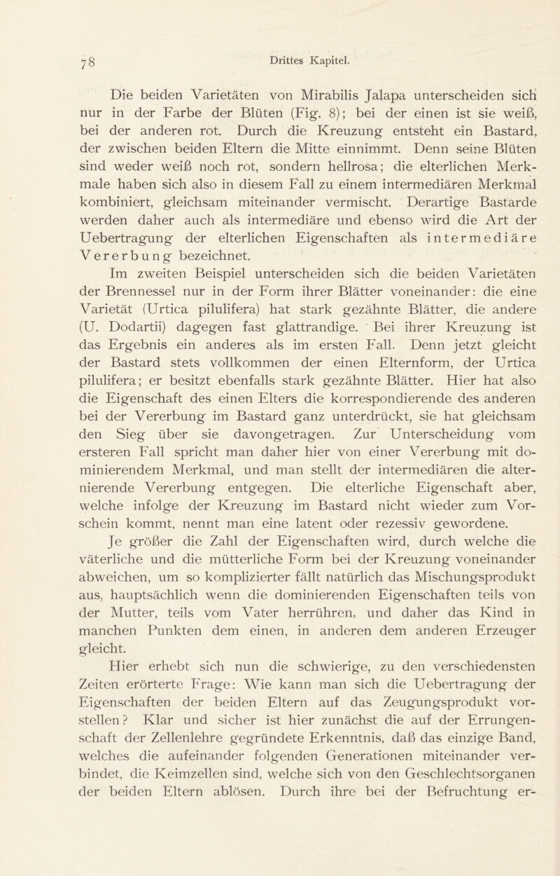 Die beiden Varietäten von Mirabilis Jalapa unterscheiden sicH nur in der Farbe der Blüten (Fig. 8); bei der einen ist sie weiß, bei der anderen rot. Durch die Kreuzung entsteht ein Bastard, der zwischen beiden Eltern die Mitte einnimmt. Denn seine Blüten sind weder weiß noch rot, sondern hellrosa; die elterlichen Merk- male haben sich also in diesem Fall zu einem intermediären Merkmal kombiniert, gleichsam miteinander vermischt. Derartige Bastarde werden daher auch als intermediäre und ebenso wird die Art der Uebertragung der elterlichen Eigenschaften als intermediäre Vererbung bezeichnet. Im zweiten Beispiel unterscheiden sich die beiden Varietäten der Brennessel nur in der Form ihrer Blätter voneinander: die eine Varietät (Urtica pilulifera) hat stark gezähnte Blätter, die andere (U. Dodartii) dagegen fast glattrandige. Bei ihrer Kreuzung ist das Ergebnis ein anderes als im ersten Fall. Denn jetzt gleicht der Bastard stets vollkommen der einen Elternform, der Urtica pilulifera; er besitzt ebenfalls stark gezähnte Blätter. Hier hat also die Eigenschaft des einen Elters die korrespondierende des anderen bei der Vererbung im Bastard ganz unterdrückt, sie hat gleichsam den Sieg über sie davon getragen. Zur Unterscheidung vom ersteren Fall spricht man daher hier von einer Vererbung mit do- minierendem Merkmal, und man stellt der intermediären die alter- nierende Vererbung entgegen. Die elterliche Eigenschaft aber, welche infolge der Kreuzung im Bastard nicht wieder zum Vor- schein kommt, nennt man eine latent oder rezessiv gewordene. Je größer die Zahl der Eigenschaften wird, durch welche die väterliche und die mütterliche Form bei der Kreuzung voneinander abweichen, um so komplizierter fällt natürlich das Mischungsprodukt aus, hauptsächlich wenn die dominierenden Eigenschaften teils von der Mutter, teils vom Vater herrühren, und daher das Kind in manchen Punkten dem einen, in anderen dem anderen Erzeuger gleicht. Hier erhebt sich nun die schwierige, zu den verschiedensten Zeiten erörterte Erage: Wie kann man sich die Uebertragung der Eigenschaften der beiden Eltern auf das Zeugungsprodukt vor- stellen ? Klar und sicher ist hier zunächst die auf der Errungen- schaft der Zellenlehre gegründete Erkenntnis, daß das einzige Band, welches die aufeinander folgenden Generationen miteinander ver- bindet, die Keimzellen sind, welche sich von den Geschlechtsorganen der beiden Eltern ablösen. Durch ihre bei der Befruchtung er-