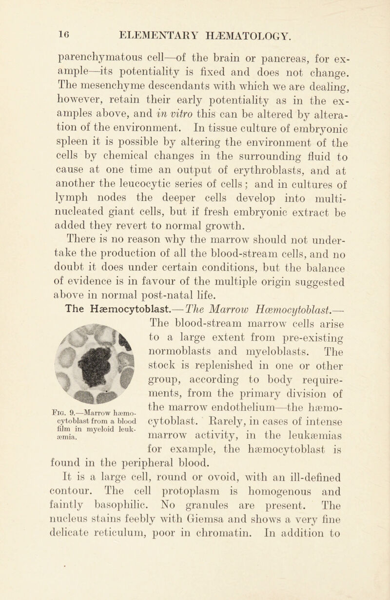 parenchymatous cell—of the brain or pancreas, for ex¬ ample—its potentiality is fixed and does not change. The mesenchyme descendants with which we are dealing, however, retain their early potentiality as in the ex¬ amples above, and in vitro this can be altered by altera¬ tion of the environment. In tissue culture of embryonic spleen it is possible by altering the environment of the cells by chemical changes in the surrounding fluid to cause at one time an output of erythroblasts, and at another the leucocytic series of cells; and in cultures of lymph nodes the deeper cells develop into multi- nucleated giant cells, but if fresh embryonic extract be added they revert to normal growth. There is no reason why the marrow should not under¬ take the production of all the blood-stream cells, and no doubt it does under certain conditions, but the balance of evidence is in favour of the multiple origin suggested above in normal post-natal life. The Haemocytoblast.— The Marrow Hcemocytoblast.— The blood-stream marrow cells arise to a large extent from pre-existing normoblasts and myeloblasts. The stock is replenished in one or other \ y group, according to body require¬ ments, from the primary division of the marroAV endothelium—Ihe haemo¬ cytoblast. Rarely, in cases of intense marrow activity, in the leukaemias for example, the haemocytoblast is found in the peripheral blood. It is a large cell, round or ovoid, with an ill-defined contour. The cell protoplasm is homogenous and faintly basophilic. No granules are present. The nucleus stains feebly with Giemsa and sIioavs a very fine delicate reticulum, poor in chromatin. In addition to Fig. 9.—Marrow haemo¬ cytoblast from a blood film in myeloid leuk¬ aemia.