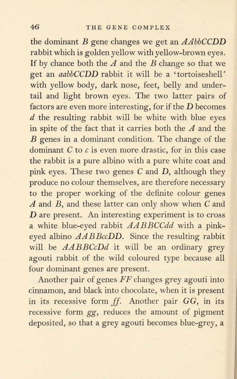 the dominant B gene changes we get an AAbbCCDD rabbit which is golden yellow with yellow-brown eyes. If by chance both the A and the B change so that we get an aabbCCDD rabbit it will be a ‘tortoiseshell* with yellow body, dark nose, feet, belly and under¬ tail and light brown eyes. The two latter pairs of factors are even more interesting, for if the D becomes d the resulting rabbit will be white with blue eyes in spite of the fact that it carries both the A and the B genes in a dominant condition. The change of the dominant C to c is even more drastic, for in this case the rabbit is a pure albino with a pure white coat and pink eyes. These two genes C and D, although they produce no colour themselves, are therefore necessary to the proper working of the definite colour genes A and B, and these latter can only show when C and D are present. An interesting experiment is to cross a white blue-eyed rabbit AABBCCdd with a pink¬ eyed albino AABBccDD. Since the resulting rabbit will be AABBCcDd it will be an ordinary grey agouti rabbit of the wild coloured type because all four dominant genes are present. Another pair of genes FF changes grey agouti into cinnamon, and black into chocolate, when it is present in its recessive form ff. Another pair GG, in its recessive form gg, reduces the amount of pigment deposited, so that a grey agouti becomes blue-grey, a