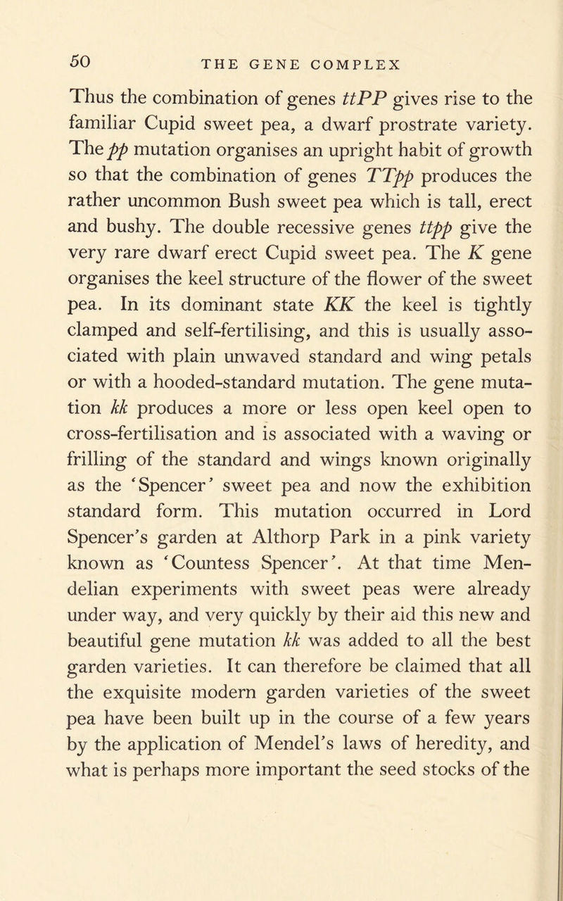 Thus the combination of genes ttPP gives rise to the familiar Cupid sweet pea, a dwarf prostrate variety. The pp mutation organises an upright habit of growth so that the combination of genes TTpp produces the rather uncommon Bush sweet pea which is tall, erect and bushy. The double recessive genes ttpp give the very rare dwarf erect Cupid sweet pea. The K gene organises the keel structure of the flower of the sweet pea. In its dominant state KK the keel is tightly clamped and self-fertilising, and this is usually asso¬ ciated with plain unwaved standard and wing petals or with a hooded-standard mutation. The gene muta¬ tion kk produces a more or less open keel open to cross-fertilisation and is associated with a waving or frilling of the standard and wings known originally as the ‘Spencer’ sweet pea and now the exhibition standard form. This mutation occurred in Lord Spencer’s garden at Althorp Park in a pink variety known as ‘Countess Spencer’. At that time Men- delian experiments with sweet peas were already under way, and very quickly by their aid this new and beautiful gene mutation kk was added to all the best garden varieties. It can therefore be claimed that all the exquisite modern garden varieties of the sweet pea have been built up in the course of a few years by the application of Mendel’s laws of heredity, and what is perhaps more important the seed stocks of the