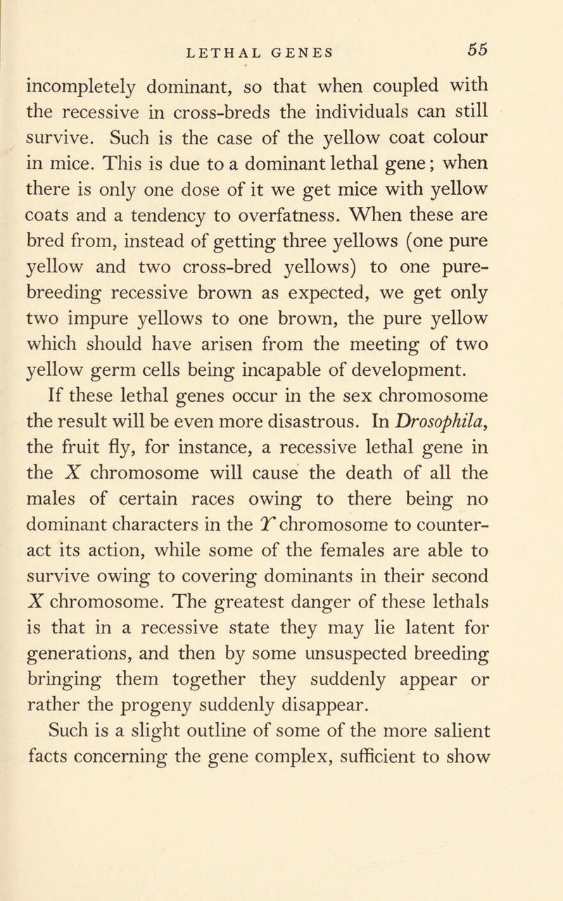 LETHAL GENES incompletely dominant, so that when coupled with the recessive in cross-breds the individuals can still survive. Such is the case of the yellow coat colour in mice. This is due to a dominant lethal gene; when there is only one dose of it we get mice with yellow coats and a tendency to overfatness. When these are bred from, instead of getting three yellows (one pure yellow and two cross-bred yellows) to one pure- breeding recessive brown as expected, we get only two impure yellows to one brown, the pure yellow which should have arisen from the meeting of two yellow germ cells being incapable of development. If these lethal genes occur in the sex chromosome the result will be even more disastrous. In Drosophila, the fruit fly, for instance, a recessive lethal gene in the X chromosome will cause the death of all the males of certain races owing to there being no dominant characters in the T chromosome to counter¬ act its action, while some of the females are able to survive owing to covering dominants in their second X chromosome. The greatest danger of these lethals is that in a recessive state they may lie latent for generations, and then by some unsuspected breeding bringing them together they suddenly appear or rather the progeny suddenly disappear. Such is a slight outline of some of the more salient facts concerning the gene complex, sufficient to show