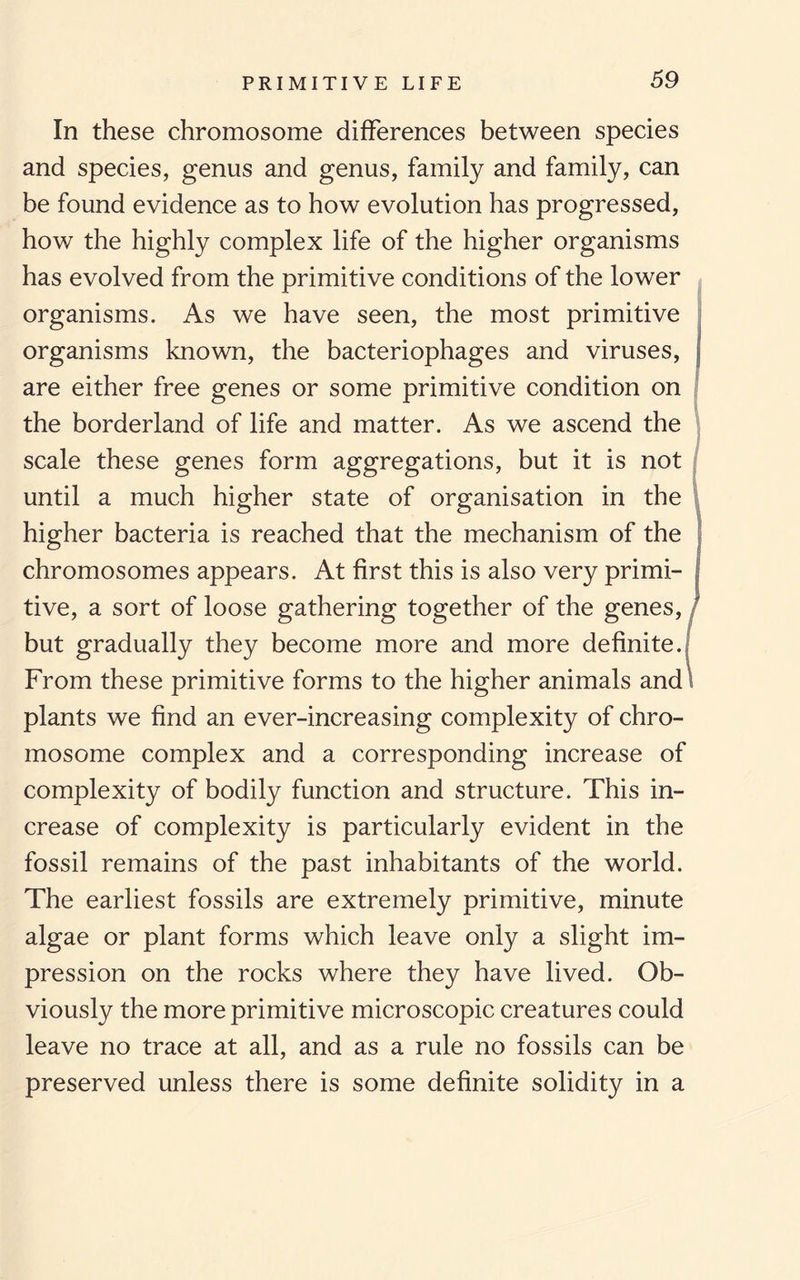 In these chromosome differences between species and species, genus and genus, family and family, can be found evidence as to how evolution has progressed, how the highly complex life of the higher organisms has evolved from the primitive conditions of the lower organisms. As we have seen, the most primitive organisms known, the bacteriophages and viruses, are either free genes or some primitive condition on the borderland of life and matter. As we ascend the scale these genes form aggregations, but it is not until a much higher state of organisation in the higher bacteria is reached that the mechanism of the chromosomes appears. At first this is also very primi¬ tive, a sort of loose gathering together of the genes, but gradually they become more and more definite. From these primitive forms to the higher animals and plants we find an ever-increasing complexity of chro¬ mosome complex and a corresponding increase of complexity of bodily function and structure. This in¬ crease of complexity is particularly evident in the fossil remains of the past inhabitants of the world. The earliest fossils are extremely primitive, minute algae or plant forms which leave only a slight im¬ pression on the rocks where they have lived. Ob¬ viously the more primitive microscopic creatures could leave no trace at all, and as a rule no fossils can be preserved unless there is some definite solidity in a