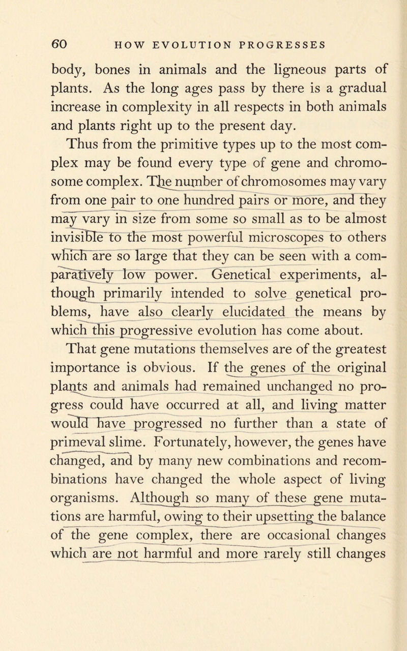 body, bones in animals and the ligneous parts of plants. As the long ages pass by there is a gradual increase in complexity in all respects in both animals and plants right up to the present day. Thus from the primitive types up to the most com¬ plex may be found every type of gene and chromo¬ some complex. T]ie number of chromosomes may vary from one pair to one hundred pairs or more, and they may vary in size from some so small as to be almost invisible to the most powerful microscopes to others which are so large that they can be seen with a com¬ paratively low power. Genetical experiments, al¬ though primarily intended to solve genetical pro¬ blems, have also clearly elucidated the means by which this progressive evolution has come about. That gene mutations themselves are of the greatest importance is obvious. If the genes of the original plants and animals had remained unchanged no pro¬ gress could have occurred at all, and living matter would have progressed no further than a state of primeval slime. Fortunately, however, the genes have changed, and by many new combinations and recom¬ binations have changed the whole aspect of living organisms. Although so many^ of these gene muta¬ tions are harmful, owing to their upsetting the balance of the gene complex, there are occasional changes which are not harmful and more rarely still changes