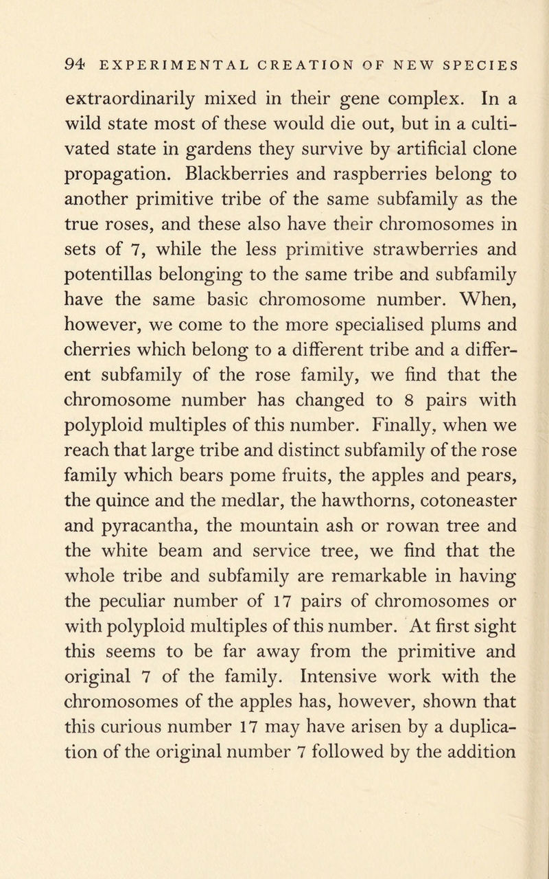 extraordinarily mixed in their gene complex. In a wild state most of these would die out, but in a culti¬ vated state in gardens they survive by artificial clone propagation. Blackberries and raspberries belong to another primitive tribe of the same subfamily as the true roses, and these also have their chromosomes in sets of 7, while the less primitive strawberries and potentillas belonging to the same tribe and subfamily have the same basic chromosome number. When, however, we come to the more specialised plums and cherries which belong to a different tribe and a differ¬ ent subfamily of the rose family, we find that the chromosome number has changed to 8 pairs with polyploid multiples of this number. Finally, when we reach that large tribe and distinct subfamily of the rose family which bears pome fruits, the apples and pears, the quince and the medlar, the hawthorns, cotoneaster and pyracantha, the mountain ash or rowan tree and the white beam and service tree, we find that the whole tribe and subfamily are remarkable in having the peculiar number of 17 pairs of chromosomes or with polyploid multiples of this number. At first sight this seems to be far away from the primitive and original 7 of the family. Intensive work with the chromosomes of the apples has, however, shown that this curious number 17 may have arisen by a duplica¬ tion of the original number 7 followed by the addition