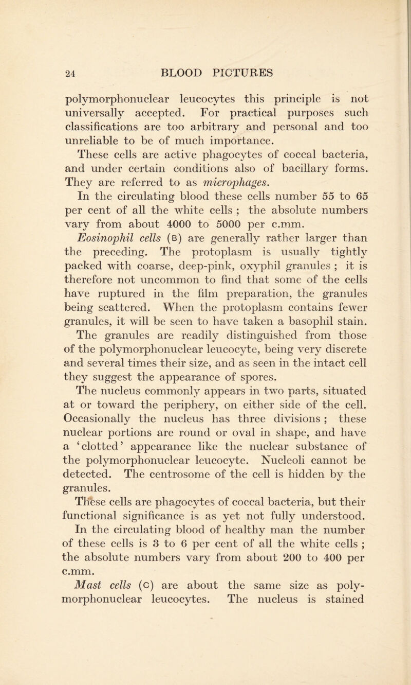 polymorphonuclear leucocytes this principle is not universally accepted. For practical purposes such classifications are too arbitrary and personal and too unreliable to be of much importance. These cells are active phagocytes of coccal bacteria, and under certain conditions also of bacillary forms. They are referred to as microphages. In the circulating blood these cells number 55 to 65 per cent of all the white cells ; the absolute numbers vary from about 4000 to 5000 per c.mm. Eosinophil cells (b) are generally rather larger than the preceding. The protoplasm is usually tightly packed with coarse, deep-pink, oxyphil granules ; it is therefore not uncommon to find that some of the cells have ruptured in the film preparation, the granules being scattered. When the protoplasm contains fewer granules, it will be seen to have taken a basophil stain. The granules are readily distinguished from those of the polymorphonuclear leucocyte, being very discrete and several times their size, and as seen in the intact cell they suggest the appearance of spores. The nucleus commonly appears in two parts, situated at or toward the periphery, on either side of the cell. Occasionally the nucleus has three divisions ; these nuclear portions are round or oval in shape, and have a ‘clotted’ appearance like the nuclear substance of the polymorphonuclear leucocyte. Nucleoli cannot be detected. The centrosome of the cell is hidden by the granules. These cells are phagocytes of coccal bacteria, but their functional significance is as yet not fully understood. In the circulating blood of healthy man the number of these cells is 3 to 6 per cent of all the white cells ; the absolute numbers vary from about 200 to 400 per c.mm. Mast cells (c) are about the same size as poly¬ morphonuclear leucocytes. The nucleus is stained