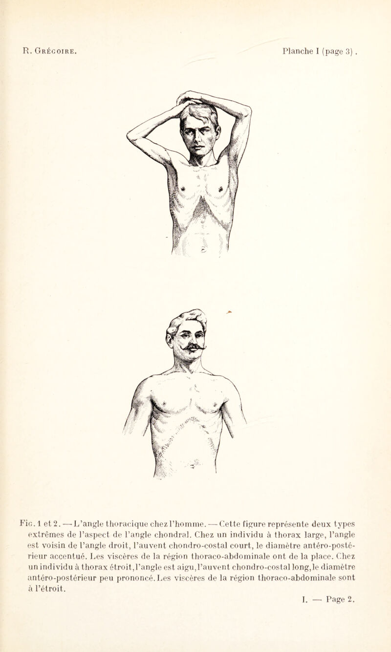 Fie. 1 et 2. —-L’angle thoracique chez l’homme. — Cette figure représente deux types extrêmes de l’aspect de l’angle chondral. Chez un individu à thorax large, l’angle est voisin de l’angle droit, l’auvent chondro-costal court, le diamètre antéro-posté¬ rieur accentué. Les viscères de la région thoraco-abdominale ont de la place. Chez un individu à thorax étroit,l’angle est aigu,l’auvent chondro-costal long,le diamètre antéro-postérieur peu prononcé. Jms viscères de la région thoraco-abdominale sont à l’étroit.