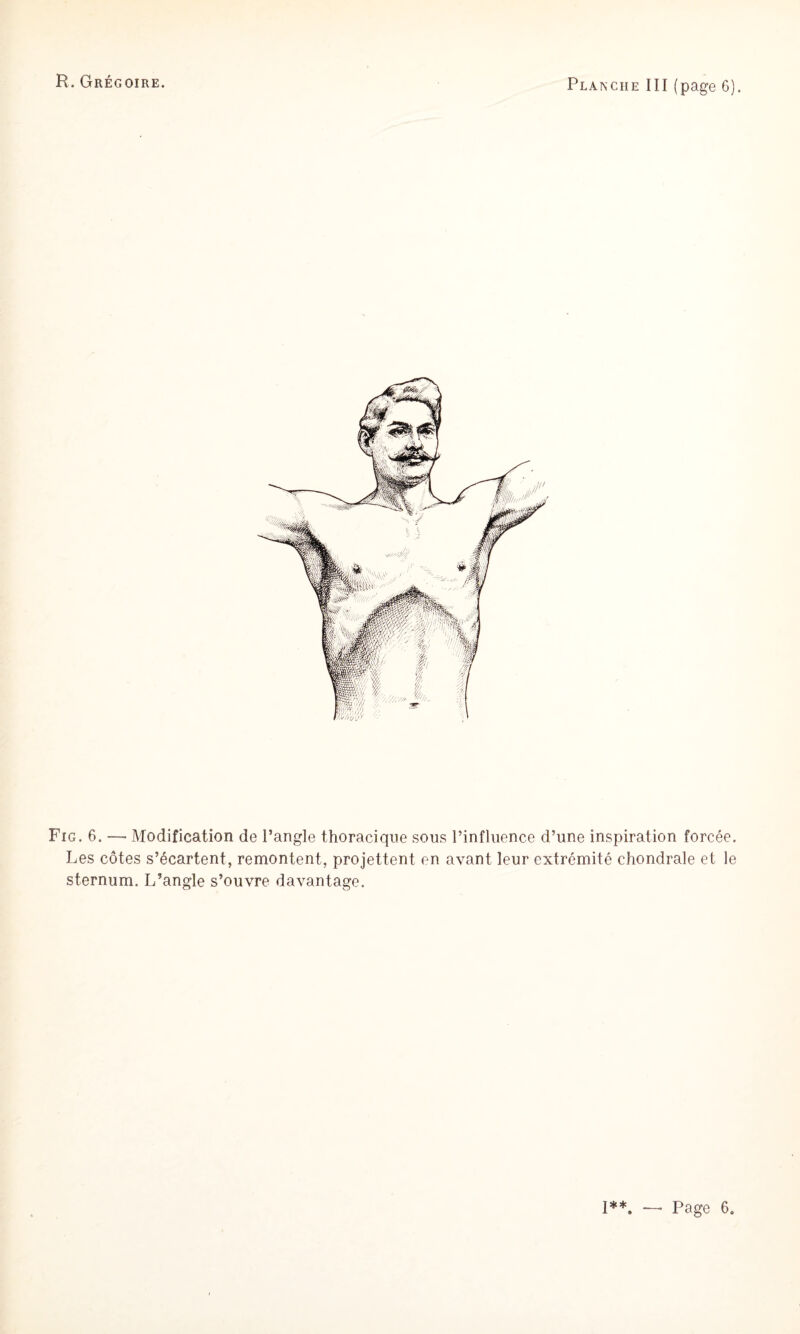 Fig. 6. — Modification de l’angle thoracique sous l’influence d’une inspiration forcée. Les côtes s’écartent, remontent, projettent en avant leur extrémité chondrale et le sternum. L’angle s’ouvre davantage. I**. — Page 6.