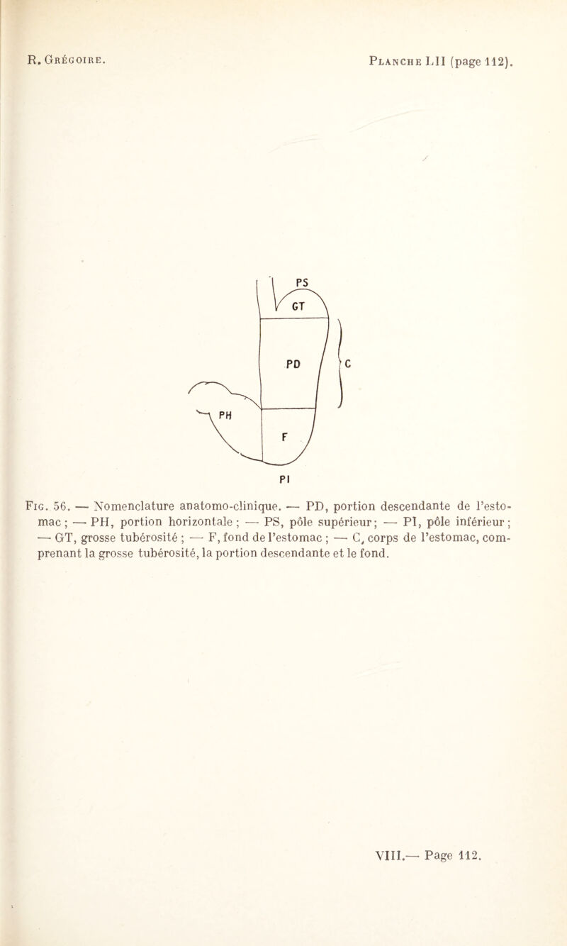 Fig. 56. — Nomenclature anatomo-clinique. •— PD, portion descendante de Festo- mac ; —PH, portion horizontale; —■ PS, pôle supérieur; — PI, pôle inférieur; — GT, grosse tubérosité ; •—• F, fond de l’estomac ; — corps de l’estomac, com¬ prenant la grosse tubérosité, la portion descendante et le fond. VIII.— Page 112.