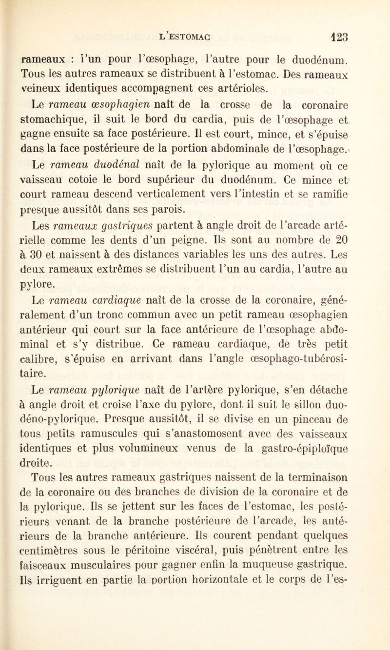 rameaux : î’un pour l’œsophage, l’autre pour le duodénum. Tous les autres rameaux se distribuent à l’estomac. Des rameaux veineux identiques accompagnent ces artérioles. Le rameau œsophagien naît de la crosse de la coronaire stomachique, il suit le bord du cardia, puis de l’œsophage et, gagne ensuite sa face postérieure. Il est court, mince, et s’épuise dans la face postérieure de la portion abdominale de l’œsophage.' Le rameau duodénal naît de la pylorique au moment où ce vaisseau cotoie le bord supérieur du duodénum. Ce mince et’ court rameau descend verticalement vers l’intestin et se ramifie presque aussitôt dans ses parois. Les rameaux gastriques partent à angle droit de l’arcade arté¬ rielle comme les dents d’un peigne. Ils sont au nombre de 20 à 30 et naissent à des distances variables les uns des autres. Les deux rameaux extrêmes se distribuent l’un au cardia, l’autre au pylore. Le rameau cardiaque naît de la crosse de la coronaire, géné¬ ralement d’un tronc commun avec un petit rameau œsophagien antérieur qui court sur la face antérieure de l’œsophage abdo¬ minal et s’y distribue. Ce rameau cardiaque, de très petit calibre, s’épuise en arrivant dans l’angle œsophago-tubérosi- taire. Le rameau pylorique naît de l’artère pylorique, s’en détache à angle droit et croise l’axe du pylore, dont il suit le sillon duo- déno-pylorique. Presque aussitôt, il se divise en un pinceau de tous petits ramuscules qui s’anastomosent avec des vaisseaux identiques et plus volumineux venus de la gastro-épiploïque droite. Tous les autres rameaux gastriques naissent de la terminaison de la coronaire ou des branches de division de la coronaire et de la pylorique. Ils se jettent sur les faces de l’estomac, les posté¬ rieurs venant de la branche postérieure de l’arcade, les anté¬ rieurs de la branche antérieure. Ils courent pendant quelques centimètres sous le péritoine viscéral, puis pénètrent entre les faisceaux musculaires pour gagner enfin la muqueuse gastrique. Ils irriguent en partie la portion horizontale et le corps de l’es-