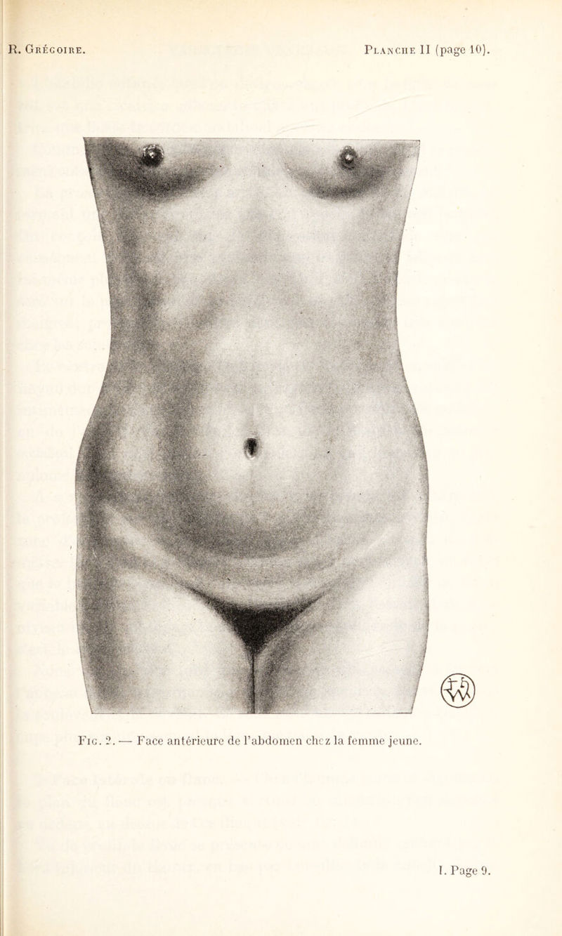 Fig. 2. — Face antérieure de l’abdomen chez la femme jeune. I. Page 9.