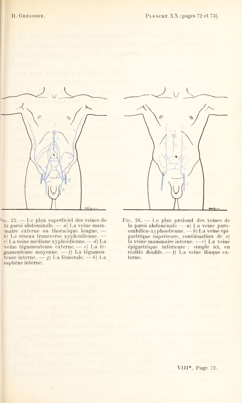 1 ï I ^iG. 25. — Le plan superficiel des veines de la paroi abdominale. — a) La veine mam¬ maire externe ou thoracique longue. — b) Le réseau transverse xyphoïdienne. — c] La veine médiane xyphoïdienne.— d) La veine tégumenteuse externe.— e) La té- gumenteuse moyenne. — /) La tégumen¬ teuse interne. — g] La fémorale. — h) La saphène interne. Fig. 26. ■— Le plan profond des veines de la paroi abdominale. — a) La veine para- ombilico-xyphoïdienne. — b) La veine épi¬ gastrique supérieure, continuation de c) la veine mammaire interne. — e) La veine épigastrique inférieure : simple ici, en réalité double. — /) La veine iliaque ex¬ terne.