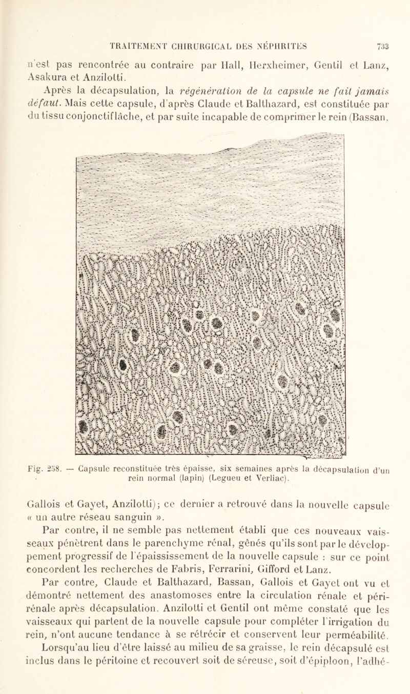 n est pas rencontrée au contraire par Hall, Ilerxheimer, Gentil et Lanz, Asakura et Anzilotti. Après la décapsulation, la régénération de la capsule ne fait jamais défaut. Mais cette capsule, d'après Claude et Balthazard, est constituée par du tissu conjonctif lâche, et par suite incapable de comprimer le rein (Bassan. Fig. 238. — Capsule reconstituée très épaisse, six semaines après la décapsulation d’un rein normal (lapin) (Legueu et Verliac). Gallois et Gayet, Anzilotti); ce dernier a retrouvé dans la nouvelle capsule « un autre réseau sanguin ». Par contre, il ne semble pas nettement établi que ces nouveaux vais¬ seaux pénètrent dans le parenchyme rénal, gênés qu’ils sont par le dévelop¬ pement progressif de l'épaississement de la nouvelle capsule : sur ce point concordent les recherches de Fabris, Ferrarini, Gifford et Lanz. Par contre, Claude et Balthazard, Bassan, Gallois et Gayet ont vu et démontré nettement des anastomoses entre la circulation rénale et péri- rénale après décapsulation. Anzilotti et Gentil ont même constaté que les vaisseaux qui partent de la nouvelle capsule pour compléter l’irrigation du rein, n’ont aucune tendance à se rétrécir et conservent leur perméabilité. Lorsqu’au lieu d’être laissé au milieu de sa graisse, le rein décapsulé est inclus dans le péritoine et recouvert soit de séreuse, soit d’épiploon, l’adhé-