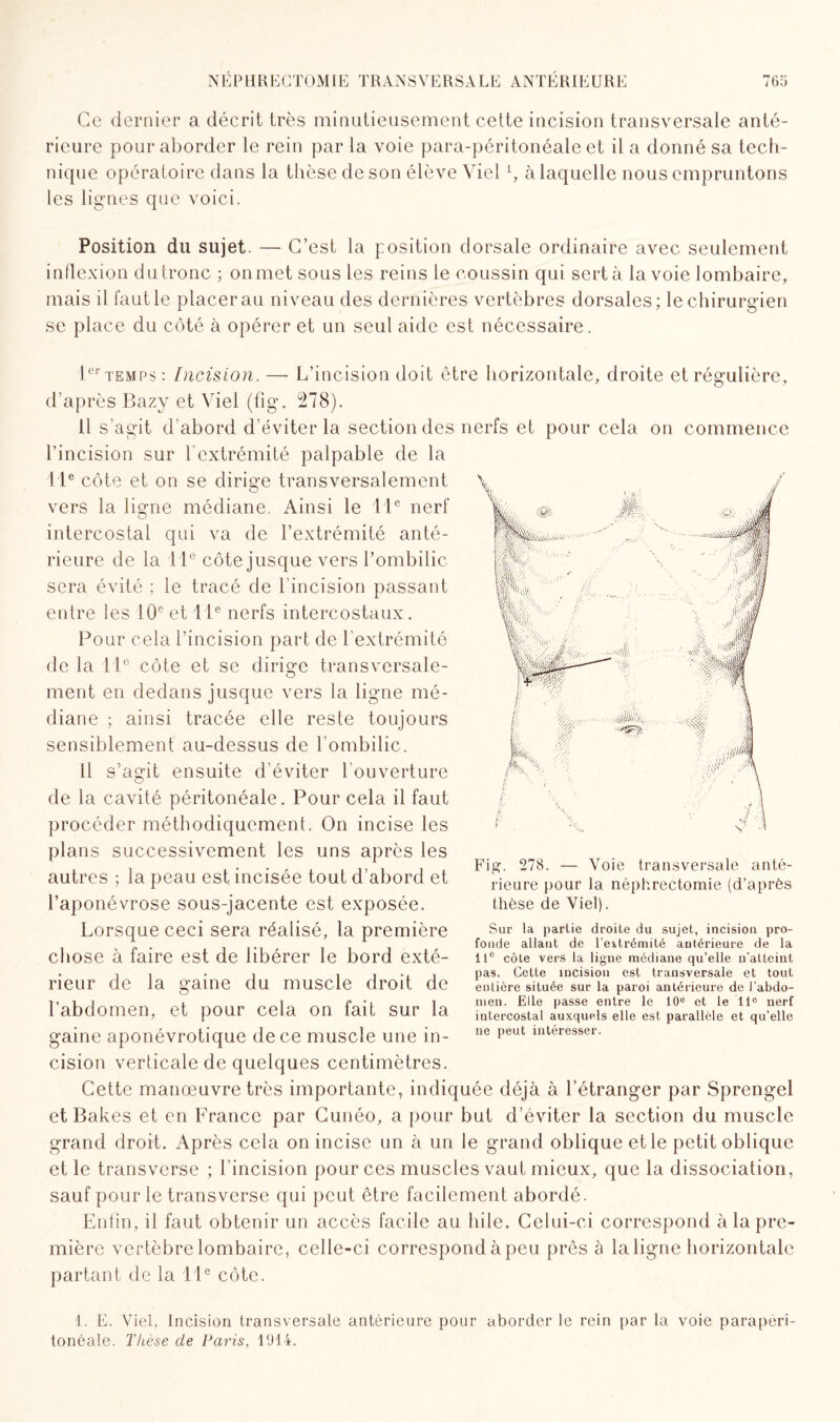 Ce dernier a décrit très minutieusement cette incision transversale anté¬ rieure pour aborder le rein par la voie para-péritonéale et il a donné sa tech¬ nique opératoire dans la thèse de son élève Yiel \ à laquelle nous empruntons les lignes que voici. Position du sujet. — C’est la position dorsale ordinaire avec seulement inflexion dutronc ; onmetsous les reins le coussin qui sert à la voie lombaire, mais il faut le placer au niveau des dernières vertèbres dorsales; le chirurgien se place du côté à opérer et un seul aide est nécessaire. 1er temps: Incision. — L’incision doit être horizontale, droite et régulière, d’après Bazy et Viel (fig. 278). Il s’agit d'abord d’éviter la section des nerfs et pour cela on commence l’incision sur l’extrémité palpable de la 11e côte et on se dirige transversalement vers la ligne médiane. Ainsi le 11e nerf intercostal qui va de l’extrémité anté¬ rieure de la 11e côte jusque vers l’ombilic sera évité ; le tracé de l’incision passant entre les 10e et 11e nerfs intercostaux. Pour cela l’incision part de l’extrémité de la 11e côte et se dirige transversale- ment en dedans jusque vers la ligne mé¬ diane ; ainsi tracée elle reste toujours sensiblement au-dessus de l'ombilic. Il s’agit ensuite d’éviter l’ouverture de la cavité péritonéale. Pour cela il faut procéder méthodiquement. On incise les plans successivement les uns après les autres ; la peau est incisée tout d’abord et l’aponévrose sous-jacente est exposée. Lorsque ceci sera réalisé, la première chose à faire est de libérer le bord exté¬ rieur de la gaine du muscle droit de l’abdomen, et pour cela on fait sur la gaine aponévrotique de ce muscle une in- Fig. 278. — Voie transversale anté¬ rieure pour la néphrectomie (d’après thèse de Viel). Sur la partie droite du sujet, incision pro¬ fonde allant de l’extrémité antérieure de la 11° côte vers la ligne médiane qu’elle n’atteint pas. Cette incision est transversale et tout entière située sur la paroi antérieure de J'abdo¬ men. Elle passe entre le 10° et le 11° nerf intercostal auxquels elle est parallèle et qu’elle ne peut intéresser. cision verticale de quelques centimètres. Cette manœuvre très importante, indiquée déjà à l’étranger par Sprengel et Bakes et en France par Cunéo, a pour but d’éviter la section du muscle grand droit. Après cela on incise un à un le grand oblique et le petit oblique et le transverse ; l’incision pour ces muscles vaut mieux, que la dissociation, sauf pour le transverse qui peut être facilement abordé. Enfin, il faut obtenir un accès facile au hile. Celui-ci correspond à la pre¬ mière vertèbre lombaire, celle-ci correspond à peu près à la ligne horizontale partant de la 11e côte. 1. E. Viel, Incision transversale antérieure pour aborder le rein par la voie parapéri- tonéale. Thèse de P aids, 1914.