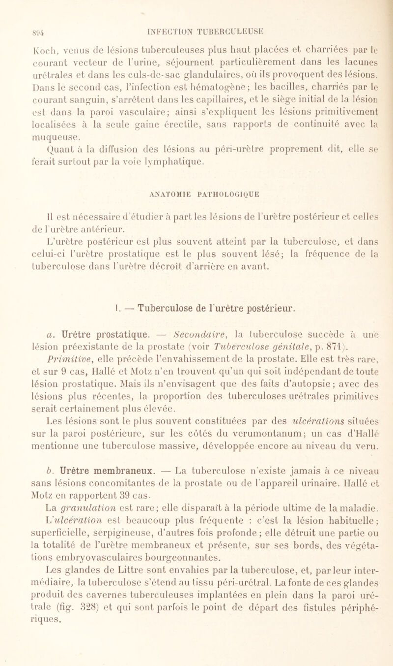 Koch, venus de lésions tuberculeuses plus haut placées et charriées par le courant vecteur de l'urine, séjournent particulièrement dans les lacunes urétrales et dans les culs-de-sac glandulaires, où ils provoquent des lésions. Dans le second cas, l’infection est hématogène; les bacilles, charriés par le courant sanguin, s’arrêtent dans les capillaires, et le siège initial de la lésion est dans la paroi vasculaire; ainsi s’expliquent les lésions primitivement localisées à la seule gaine érectile, sans rapports de continuité avec la muqueuse. Quant à la diffusion des lésions au péri-urètre proprement dit, elle se ferait surtout par la voie lymphatique. ANATOMIE PATHOLOGIQUE Il est nécessaire d étudier à part les lésions de l'urètre postérieur et celles de l'urètre antérieur. L’urètre postérieur est plus souvent atteint par la tuberculose, et dans celui-ci l’urètre prostatique est le plus souvent lésé; la fréquence de la tuberculose dans l’urètre décroît d’arrière en avant. !. — Tuberculose de l'urètre postérieur. a. Urètre prostatique. — Secondaire, la tuberculose succède à une lésion préexistante de la prostate (voir Tuberculose génitale, p. 871). Primitive, elle précède l’envahissement de la prostate. Elle est très rare, et sur 9 cas, Hallé et Motz n’en trouvent qu’un qui soit indépendant de toute lésion prostatique. Mais ils n’envisagent que des faits d’autopsie; avec des lésions plus récentes, la proportion des tuberculoses urétrales primitives serait certainement plus élevée. Les lésions sont le plus souvent constituées par des ulcérations situées sur la paroi postérieure, sur les côtés du verumontanum ; un cas d’Hallé mentionne une tuberculose massive, développée encore au niveau du veru. b. Urètre membraneux. — La tuberculose n’existe jamais à ce niveau sans lésions concomitantes de la prostate ou de Eappareil urinaire. Hallé et Motz en rapportent 39 cas. La granulation est rare; elle disparaît à la période ultime de la maladie. Vulcération est beaucoup plus fréquente : c’est la lésion habituelle; superficielle, serpigineuse, d’autres fois profonde; elle détruit une partie ou la totalité de l’urètre membraneux et présente, sur ses bords, des végéta¬ tions embryovasculaires bourgeonnantes. Les glandes de Littré sont envahies parla tuberculose, et, parleur inter¬ médiaire, la tuberculose s’étend au tissu péri-urétral. La fonte de ces glandes produit des cavernes tuberculeuses implantées en plein dans la paroi uré- trale (fig. 328) et qui sont parfois le point de départ des fistules périphé¬ riques.