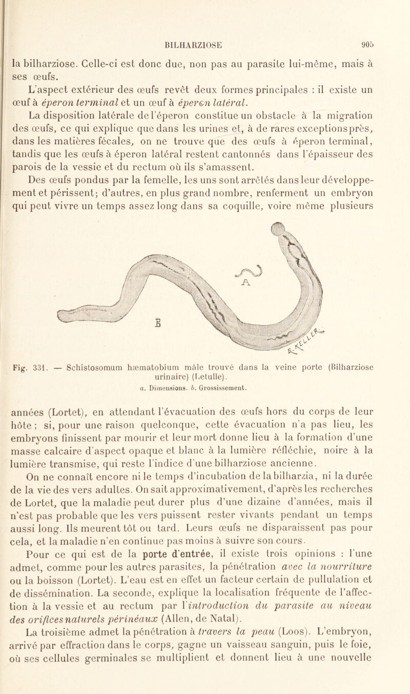 la bilharziose. Celle-ci est donc due, non pas au parasite lui-même, mais à ses œufs. L'aspect extérieur des œufs revêt deux formes principales : il existe un œuf à éperon terminal et un œuf à éperon latéral. La disposition latérale de l’éperon constitue un obstacle à la migration des œufs, ce qui explique que dans les urines et, à de rares exceptions près, dans les matières fécales, on ne trouve que des œufs à éperon terminal, tandis que les œufs à éperon latéral restent cantonnés dans l’épaisseur des parois de la vessie et du rectum où ils s’amassent. Des œufs pondus par la femelle, les uns sont arrêtés dans leur développe¬ ment et périssent; d’autres, en plus grand nombre, renferment un embryon qui peut vivre un temps assez long dans sa coquille, voire même plusieurs Fig. 331. — Schistosomum hæmatobium mâle trouvé dans la veine porte (Bilharziose urinaire) (Letulle). a. Dimensions, b. Grossissement. années (Lortet), en attendant l’évacuation des œufs hors du corps de leur hôte ; si, pour une raison quelconque, cette évacuation n’a pas lieu, les embryons finissent par mourir et leur mort donne lieu à la formation d’une masse calcaire d’aspect opaque et blanc à la lumière réfléchie, noire à la lumière transmise, qui reste l’indice d’une bilharziose ancienne. On ne connaît encore ni le temps d’incubation de la bilharzia, ni la durée de la vie des vers adultes. On sait approximativement, d’après les recherches de Lortet, que la maladie peut durer plus d’une dizaine d’années, mais il n’est pas probable que les vers puissent rester vivants pendant un temps aussi long. Ils meurent tôt ou tard. Leurs œufs ne disparaissent pas pour cela, et la maladie n’en continue pas moins à suivre son cours. Pour ce qui est de la porte d’entrée, il existe trois opinions : l’une admet, comme pour les autres parasites, la pénétration avec la nourriture ou la boisson (Lortet). L’eau est en effet un facteur certain de pullulation et de dissémination. La seconde, explique la localisation fréquente de l’affec¬ tion à la vessie et au rectum par Xintroduction du parasite au niveau des orifices naturels périnéaux (Allen, de Natal). La troisième admet la pénétration à travers la peau (Loos). L’embryon, arrivé par effraction dans le corps, gagne un vaisseau sanguin, puis le foie, où ses cellules germinales se multiplient et donnent lieu à une nouvelle