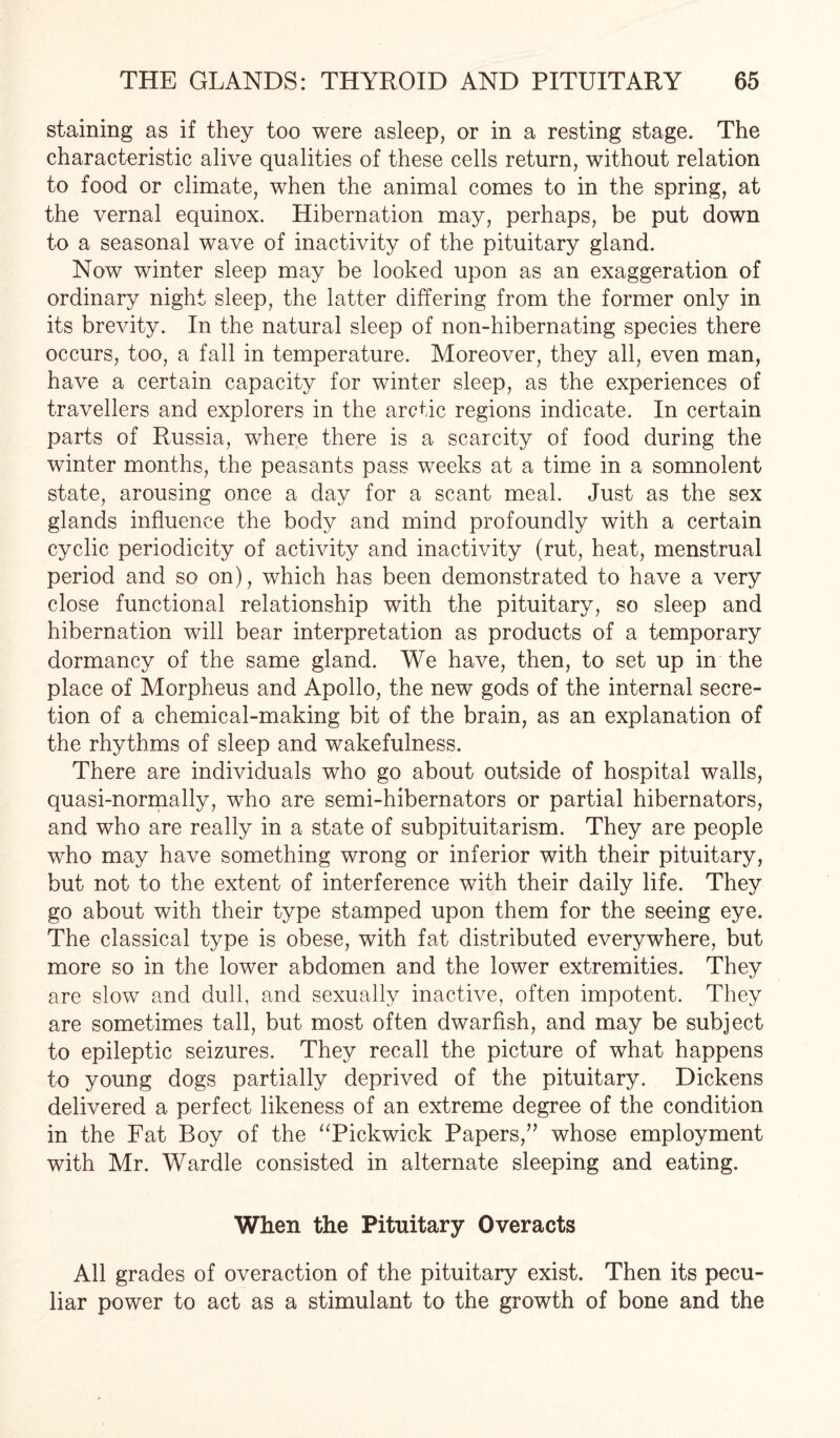staining as if they too were asleep, or in a resting stage. The characteristic alive qualities of these cells return, without relation to food or climate, when the animal comes to in the spring, at the vernal equinox. Hibernation may, perhaps, be put down to a seasonal wave of inactivity of the pituitary gland. Now winter sleep may be looked upon as an exaggeration of ordinary night sleep, the latter differing from the former only in its brevity. In the natural sleep of non-hibernating species there occurs, too, a fall in temperature. Moreover, they all, even man, have a certain capacity for winter sleep, as the experiences of travellers and explorers in the arctic regions indicate. In certain parts of Russia, where there is a scarcity of food during the winter months, the peasants pass weeks at a time in a somnolent state, arousing once a day for a scant meal. Just as the sex glands influence the body and mind profoundly with a certain cyclic periodicity of activity and inactivity (rut, heat, menstrual period and so on), which has been demonstrated to have a very close functional relationship with the pituitary, so sleep and hibernation will bear interpretation as products of a temporary dormancy of the same gland. We have, then, to set up in the place of Morpheus and Apollo, the new gods of the internal secre¬ tion of a chemical-making bit of the brain, as an explanation of the rhythms of sleep and wakefulness. There are individuals who go about outside of hospital walls, quasi-normally, who are semi-hibernators or partial hibernators, and who are really in a state of subpituitarism. They are people who may have something wrong or inferior with their pituitary, but not to the extent of interference with their daily life. They go about with their type stamped upon them for the seeing eye. The classical type is obese, with fat distributed everywhere, but more so in the lower abdomen and the lower extremities. They are slow and dull, and sexually inactive, often impotent. They are sometimes tall, but most often dwarfish, and may be subject to epileptic seizures. They recall the picture of what happens to young dogs partially deprived of the pituitary. Dickens delivered a perfect likeness of an extreme degree of the condition in the Fat Boy of the “Pickwick Papers,” whose employment with Mr. Wardle consisted in alternate sleeping and eating. When the Pituitary Overacts All grades of overaction of the pituitary exist. Then its pecu¬ liar power to act as a stimulant to the growth of bone and the